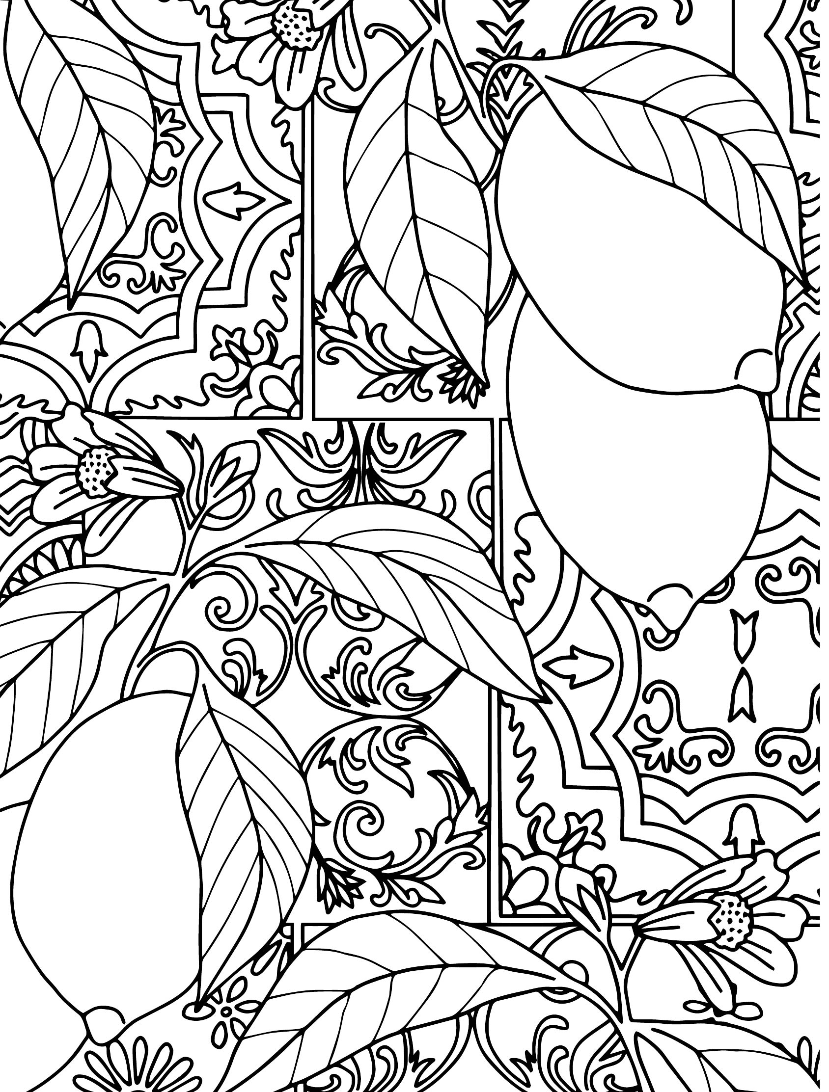 free printable coloring pages adults