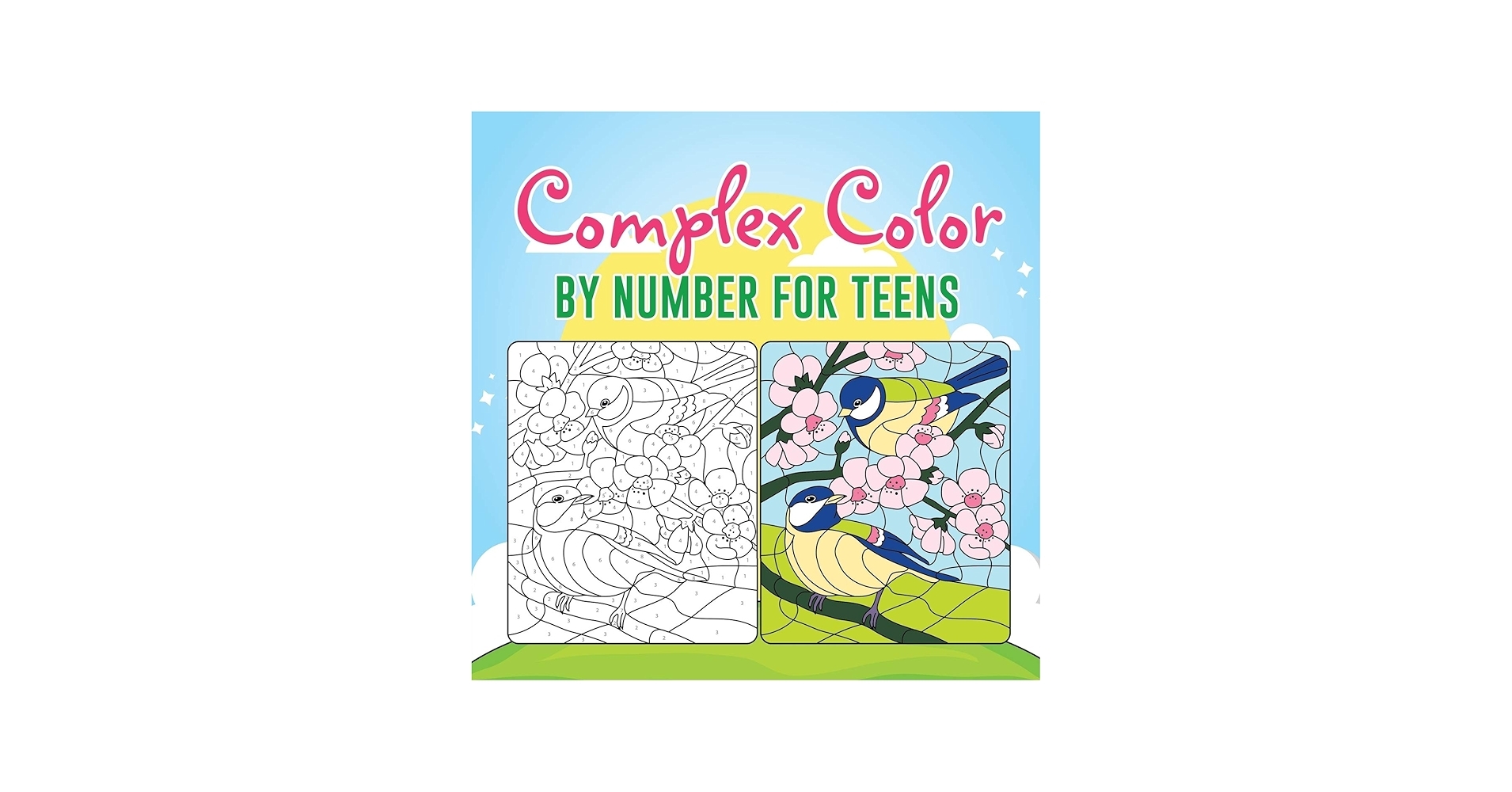 Complex Color By Number For Teens Educando Kids 9781645216650 Amazon Books Complex Color By Number For Teens Educando Kids 9781645216650 Amazon Books