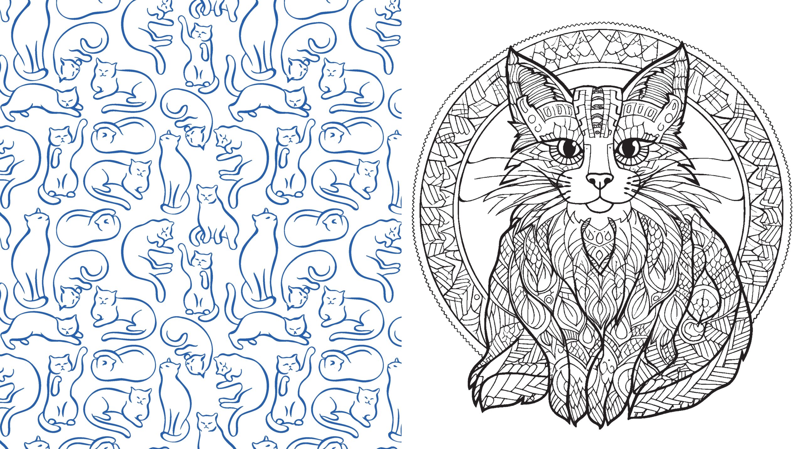 Creative Cats Coloring Book By Editors Of Chartwell Books Quarto At A Glance The Quarto Group