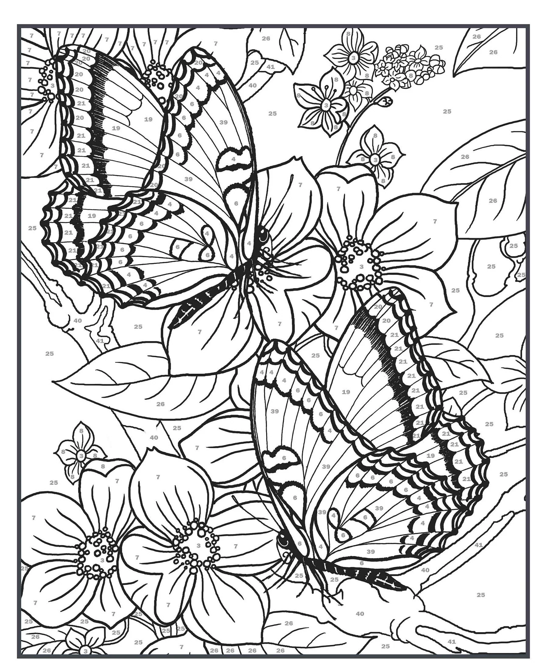 Creative Haven Butterflies Color By Number Coloring Book A2Z Science Toys