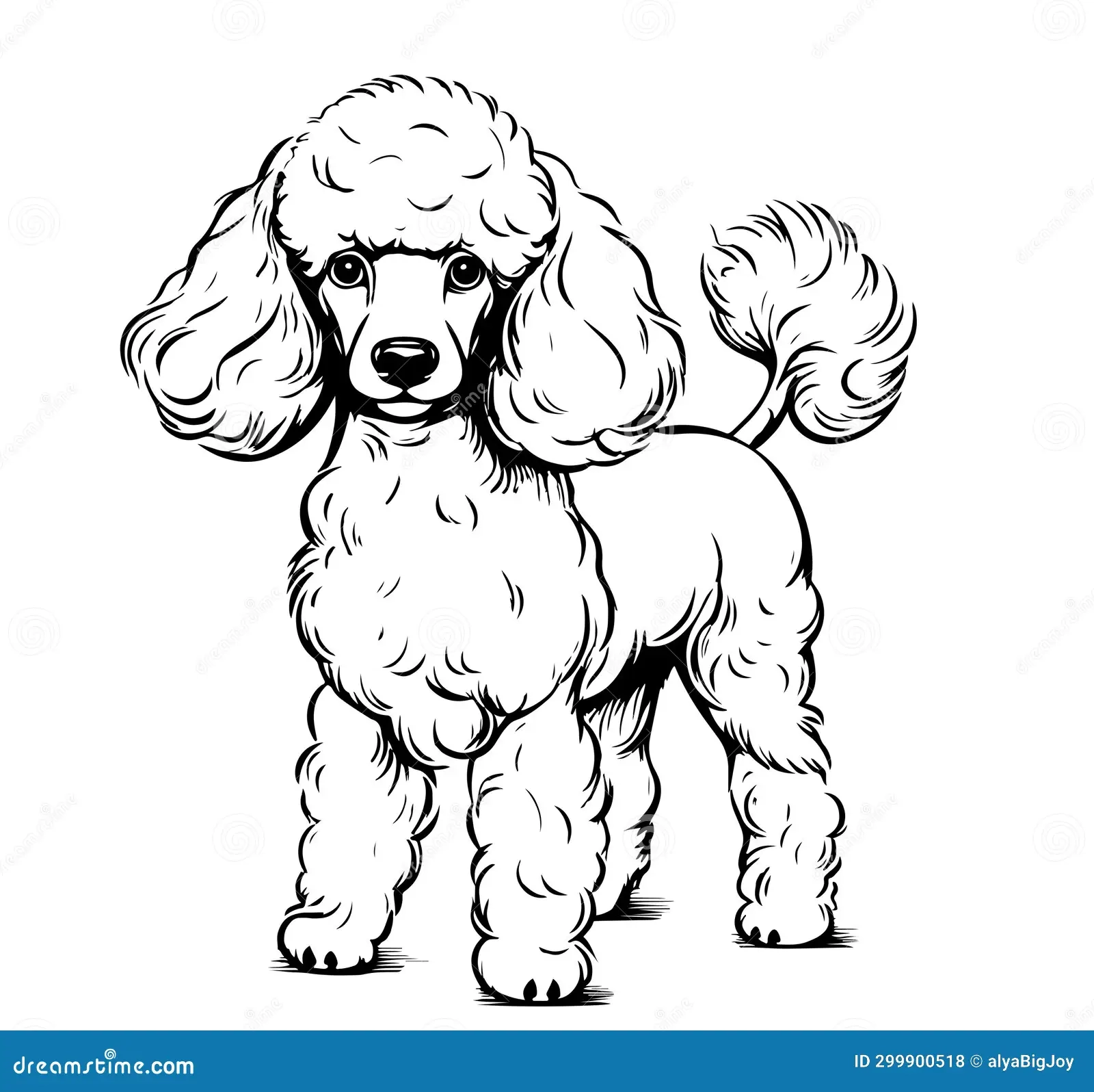 Cute Toy Poodle Dog Portrait Hand Drawn Sketch Pets Stock Illustration Illustration Of Wavy Miniature 299900518 Cute Toy Poodle Dog Portrait Hand Drawn Sketch Pets Stock Illustration Illustration Of Wavy Miniature 299900518