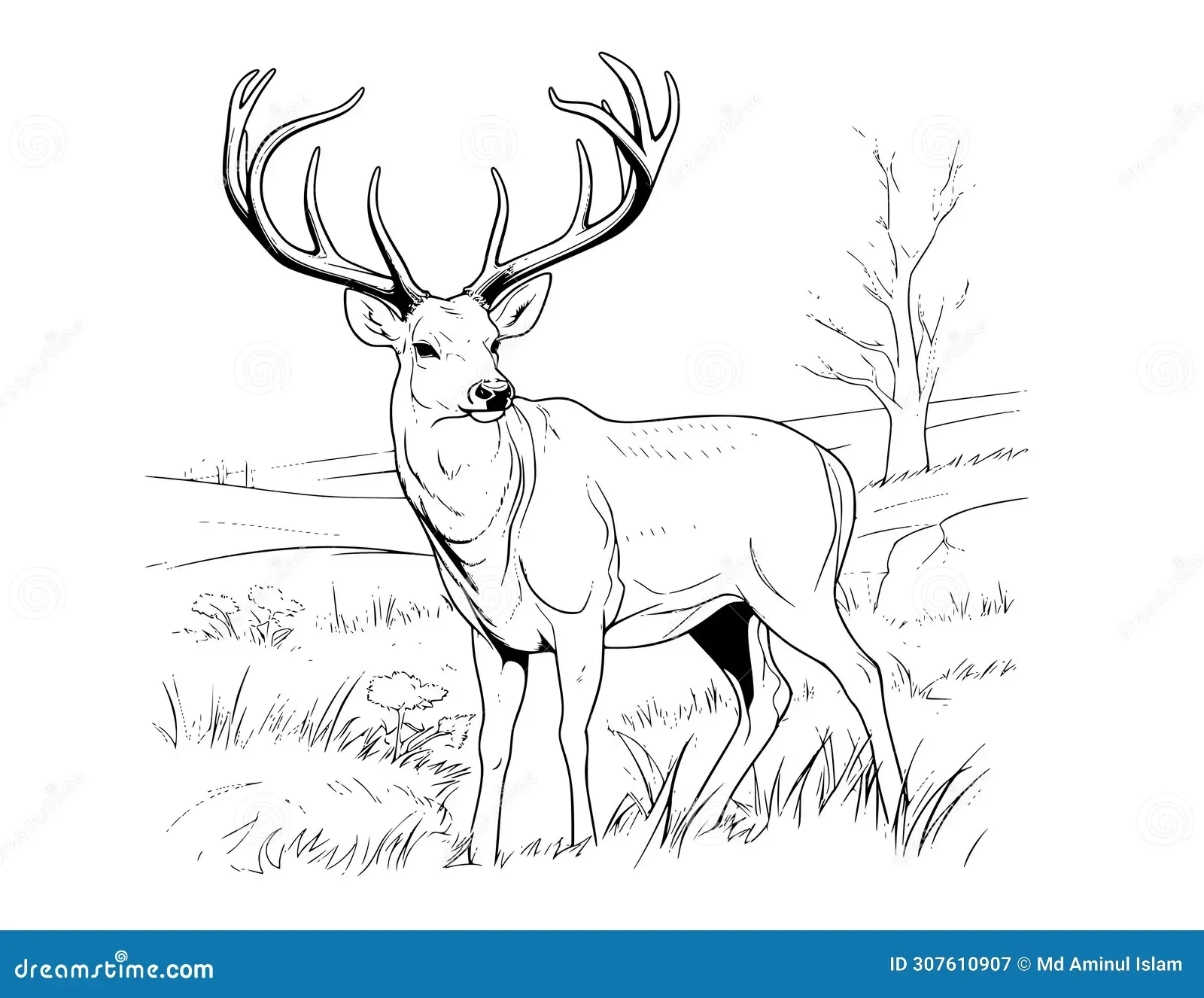 Deer Coloring Pages For Kids Stock Vector Illustration Of Buck Sheets 307610907 Deer Coloring Pages For Kids Stock Vector Illustration Of Buck Sheets 307610907