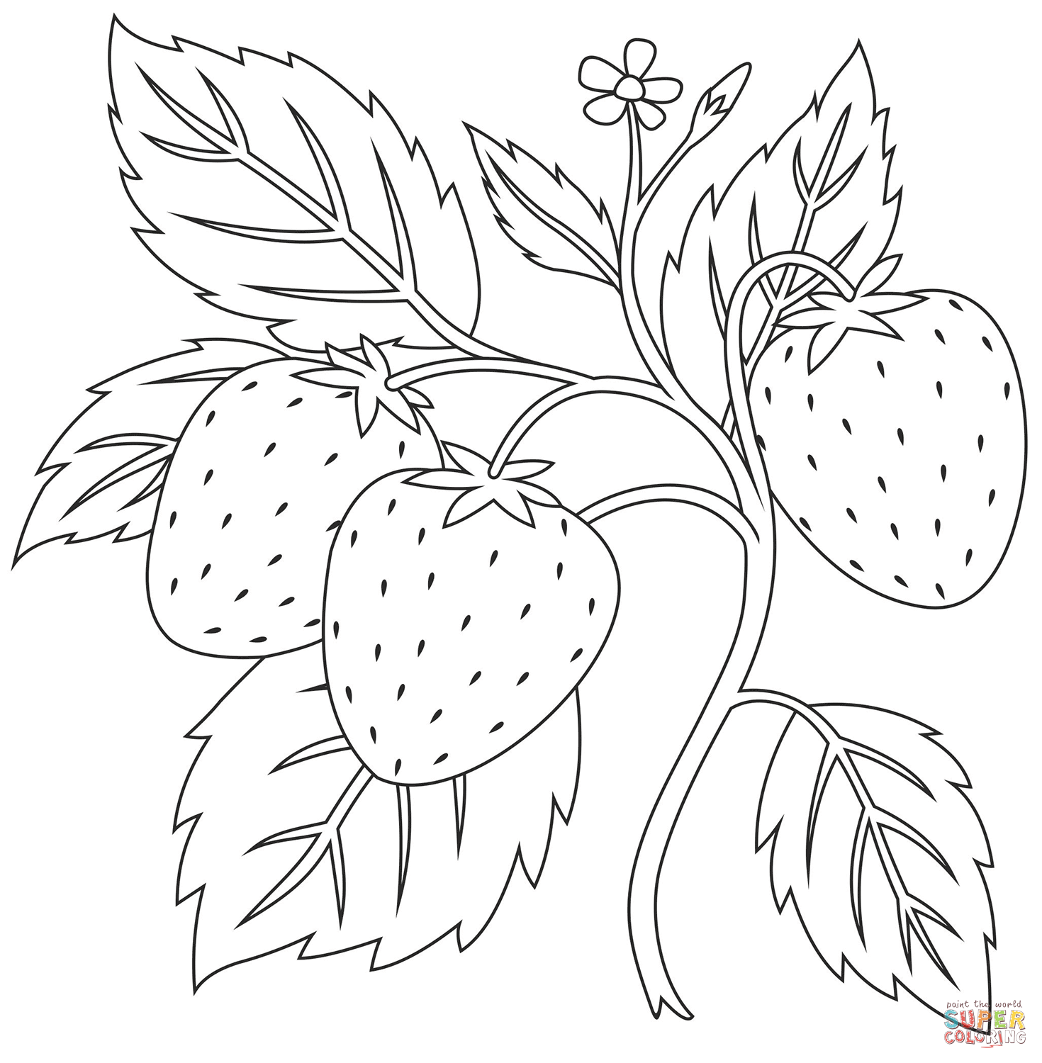 Discover 78 Strawberry Picking And Strawberry Ideas In 2026 Strawberry Picking Strawberry Crafts Preschool Activities And More