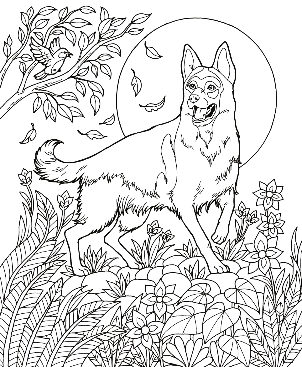 Dog Book Free Download German Shepherd