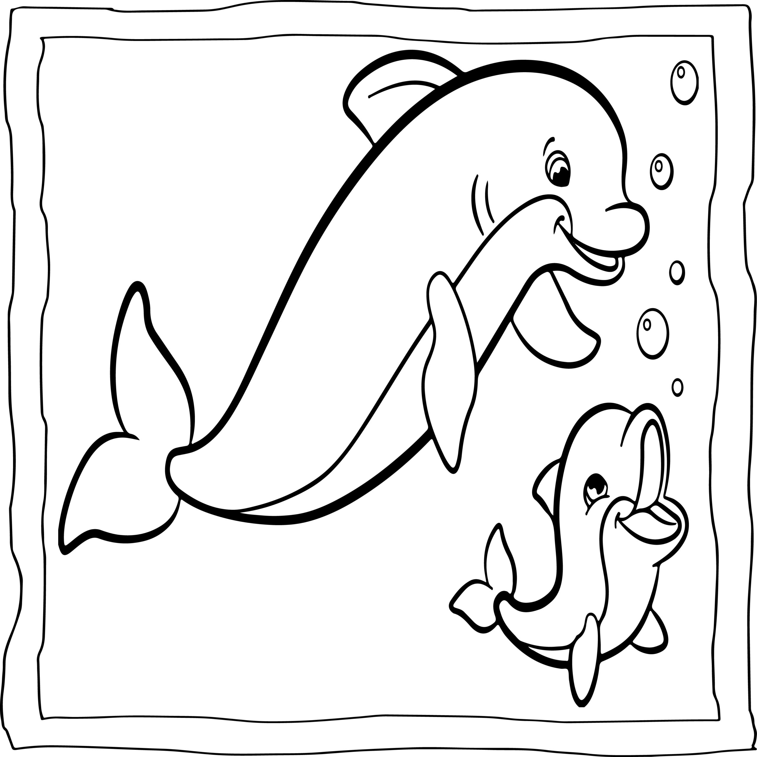 dolphin coloring book pages dolphin coloring book pages