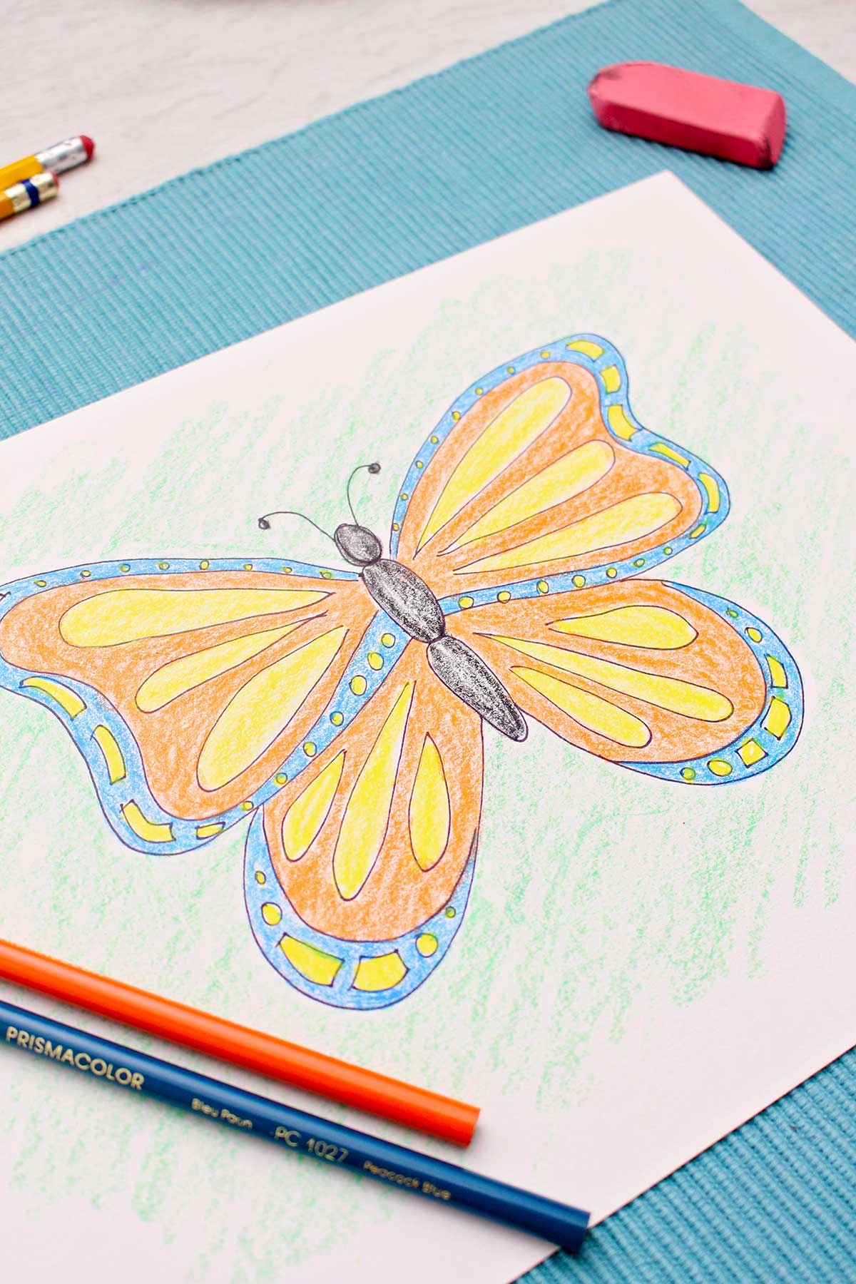 drawing of butterfly with colour