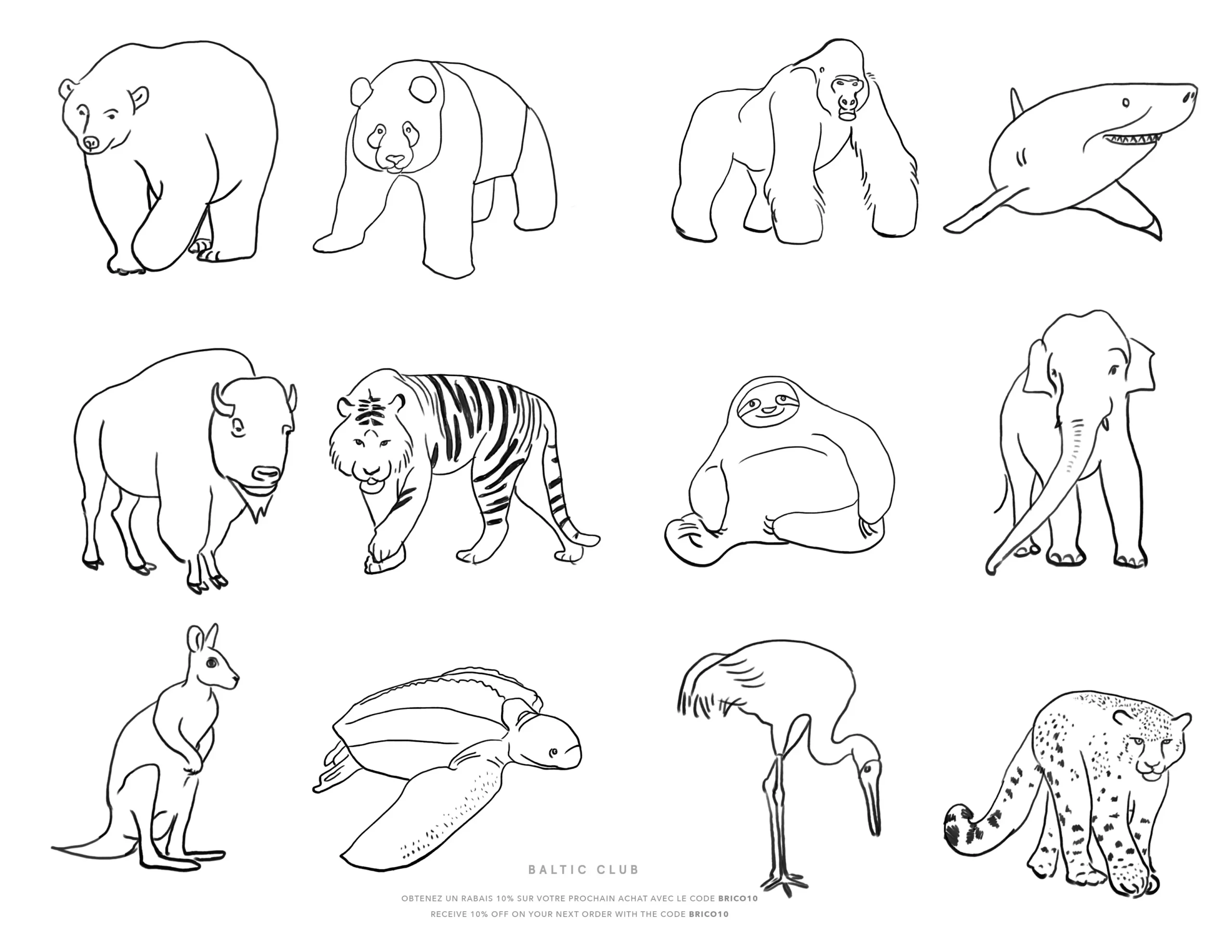 Endangered Animals Colouring Sheet Baltic Club