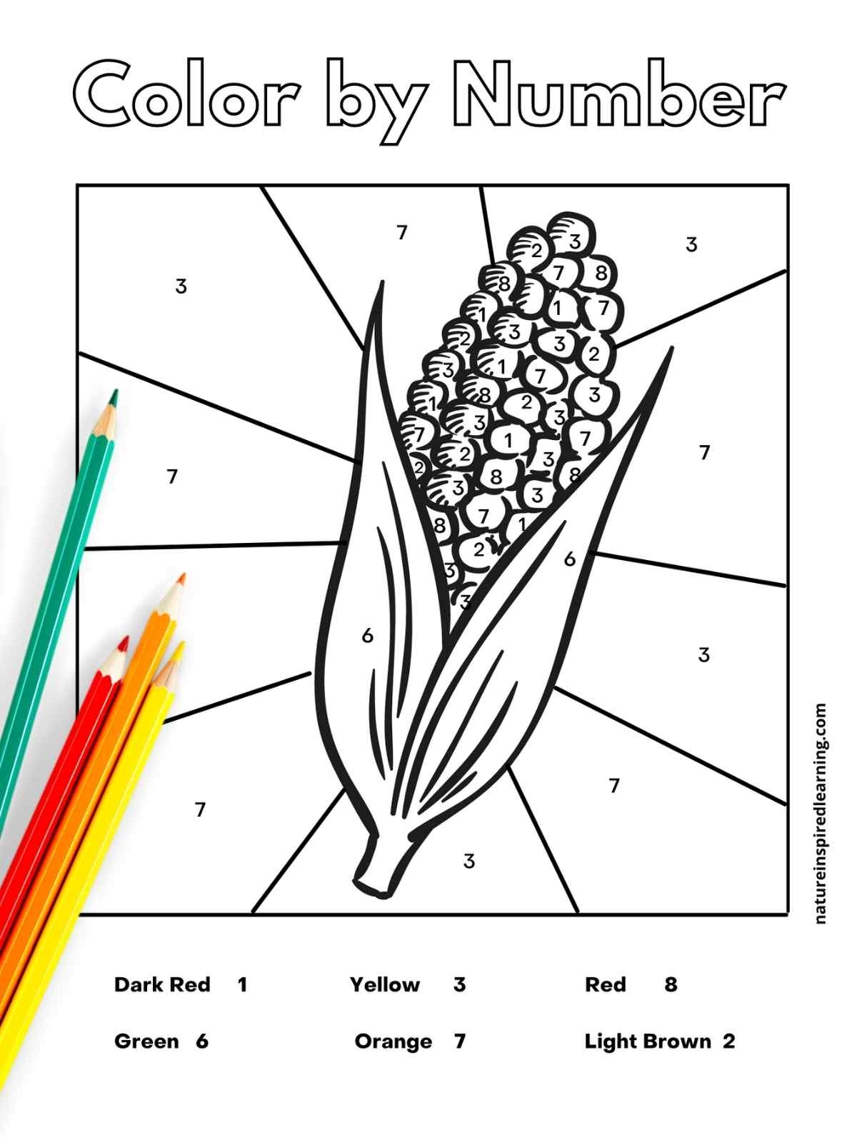 Fall Color By Number Nature Inspired Learning