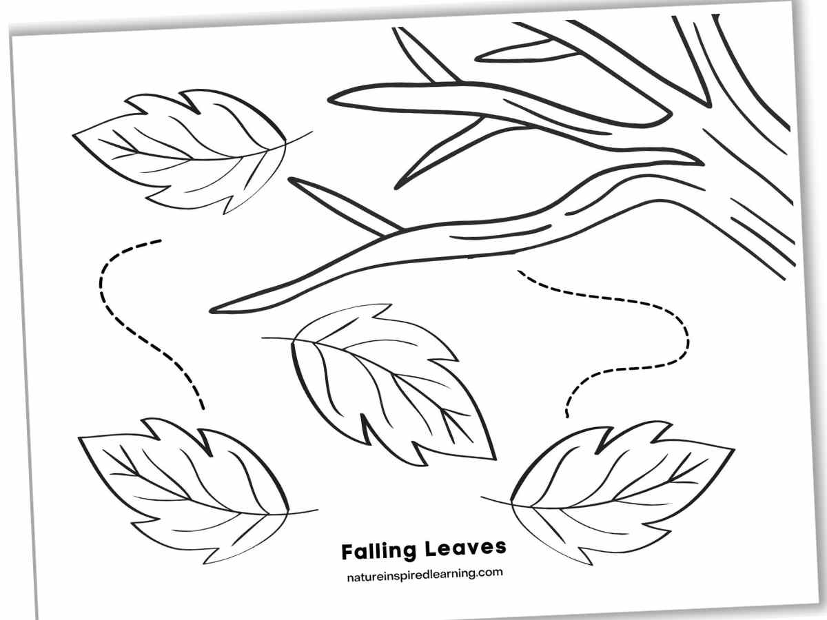 Fall Coloring Pages Nature Inspired Learning