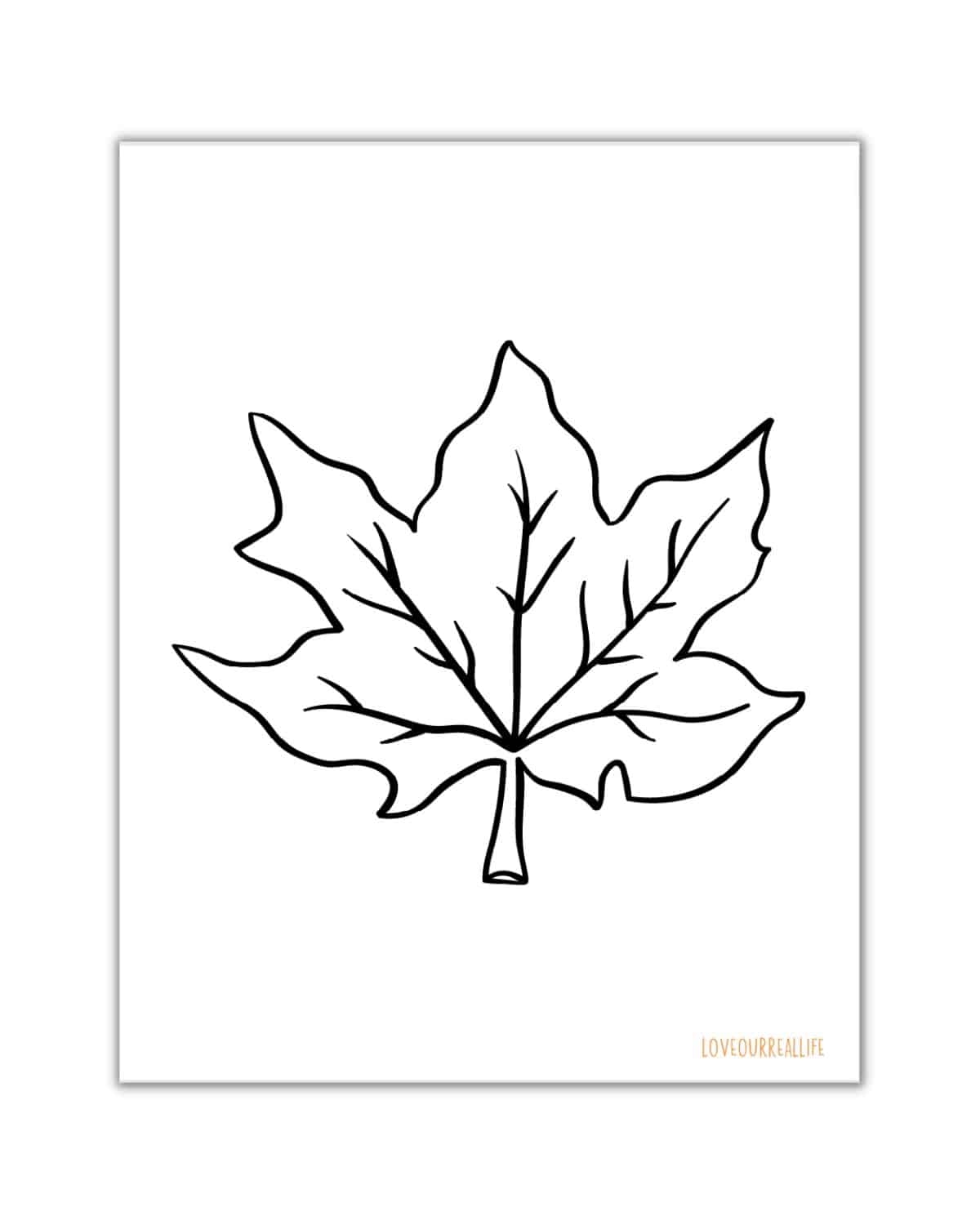 autumn leaf coloring page autumn leaf coloring page