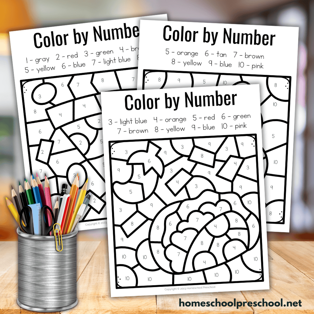food color by number