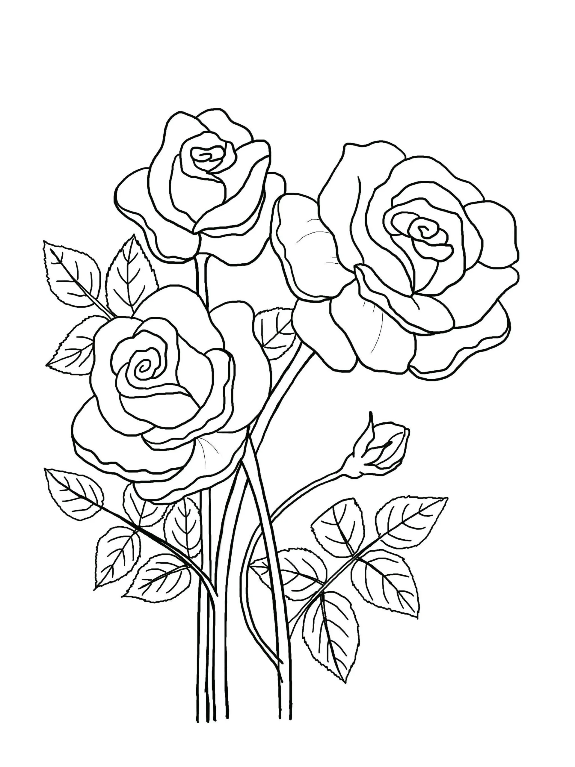 Floral Coloring Pages Hand drawn Flowers 5 page Book PDF JPG Etsy