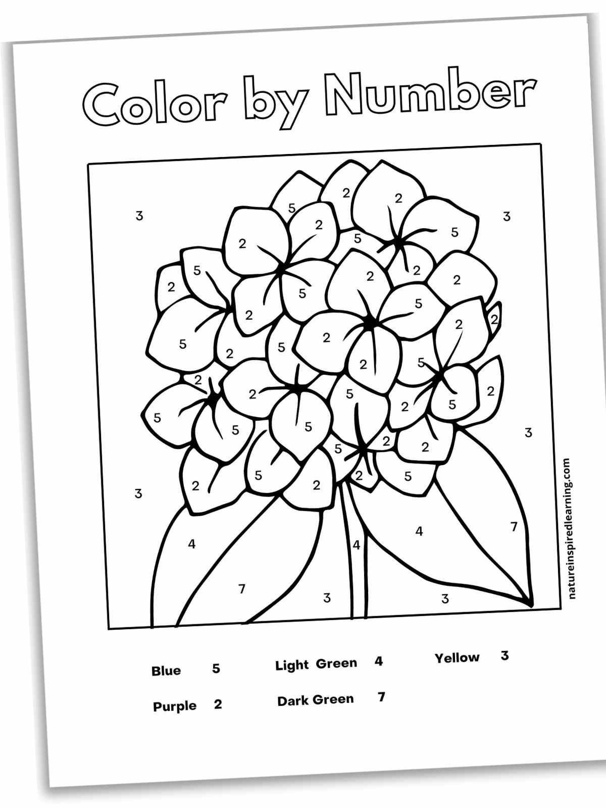 Flower Color By Number Nature Inspired Learning