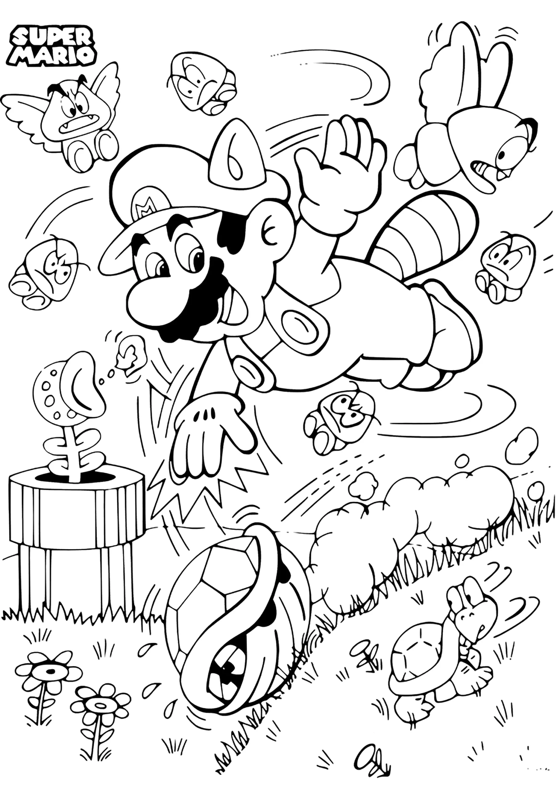 Flying Squirrel Mario In Combat Super Mario Bros Coloring Pages