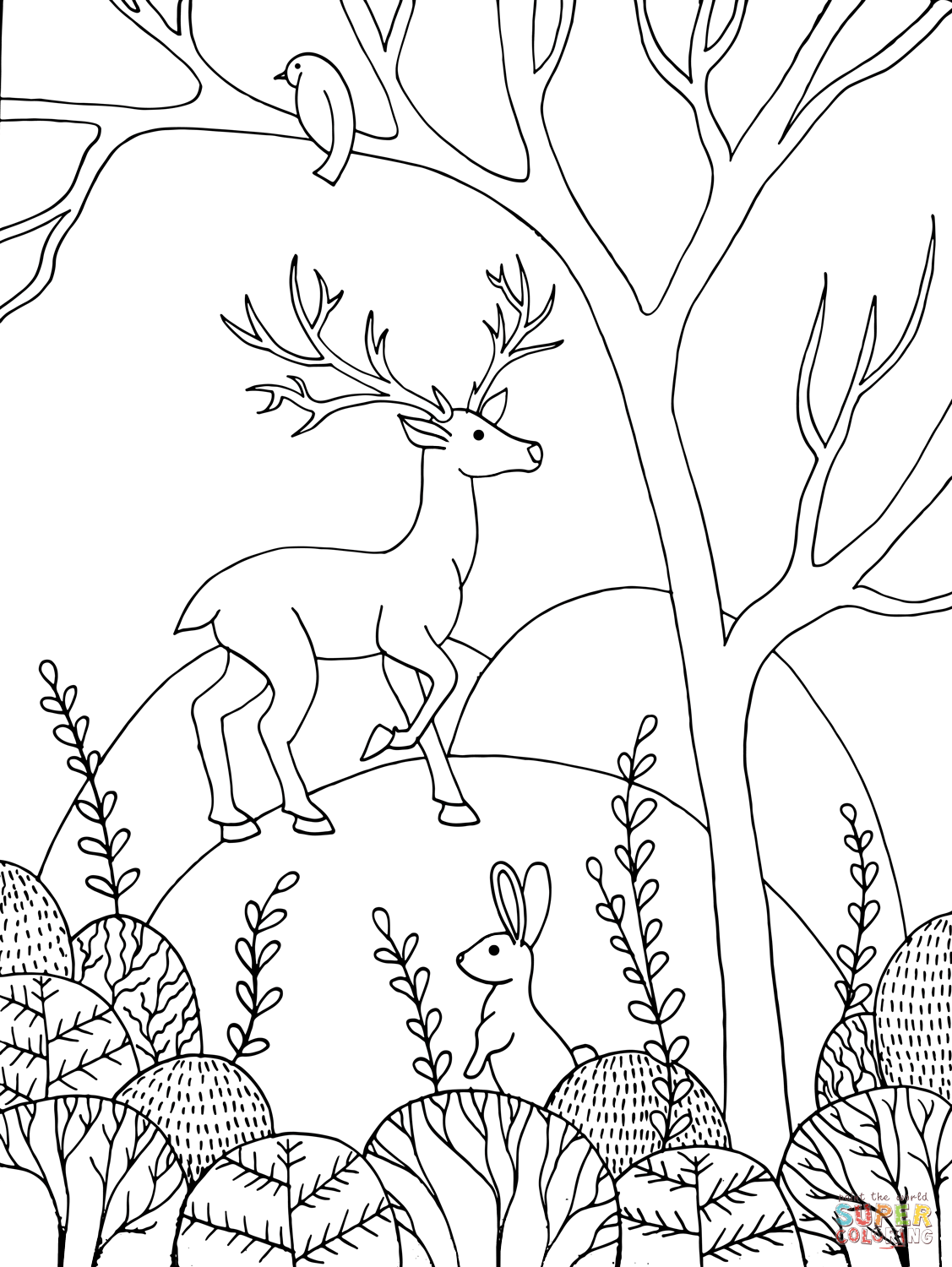 forest animals coloring pages