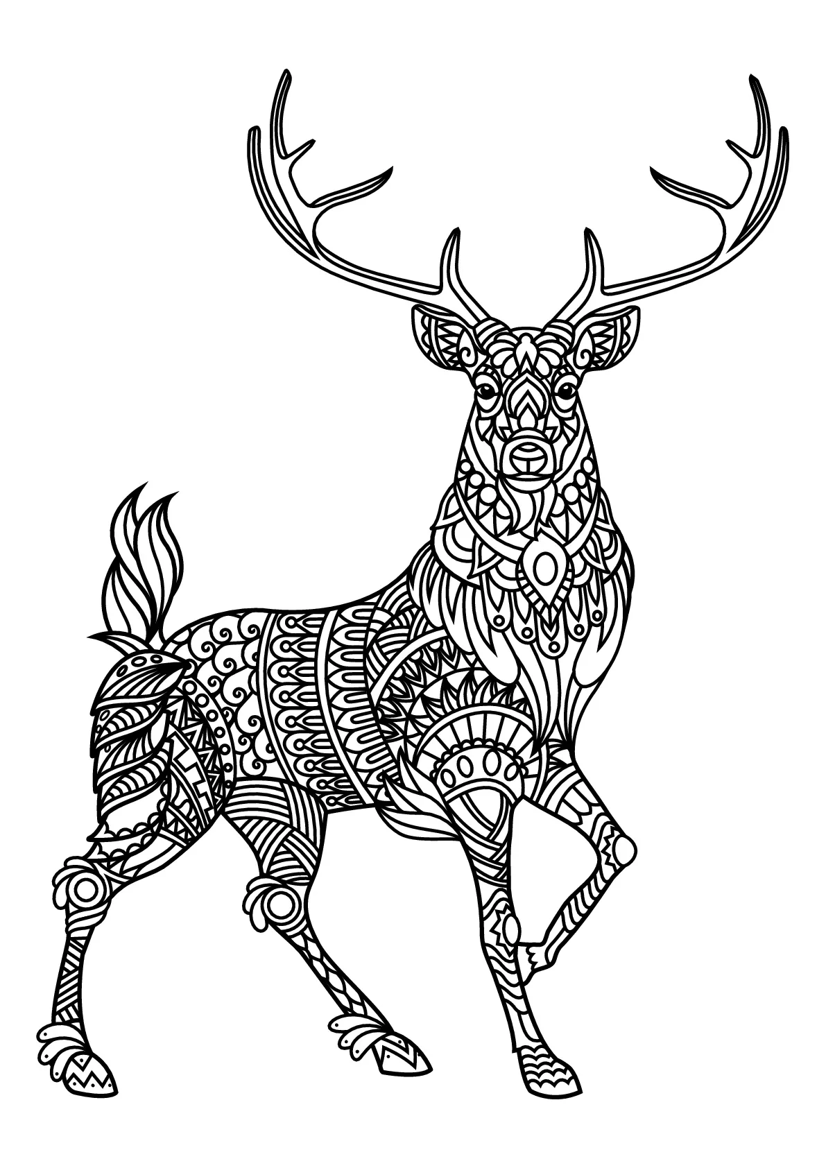 deer coloring book pages