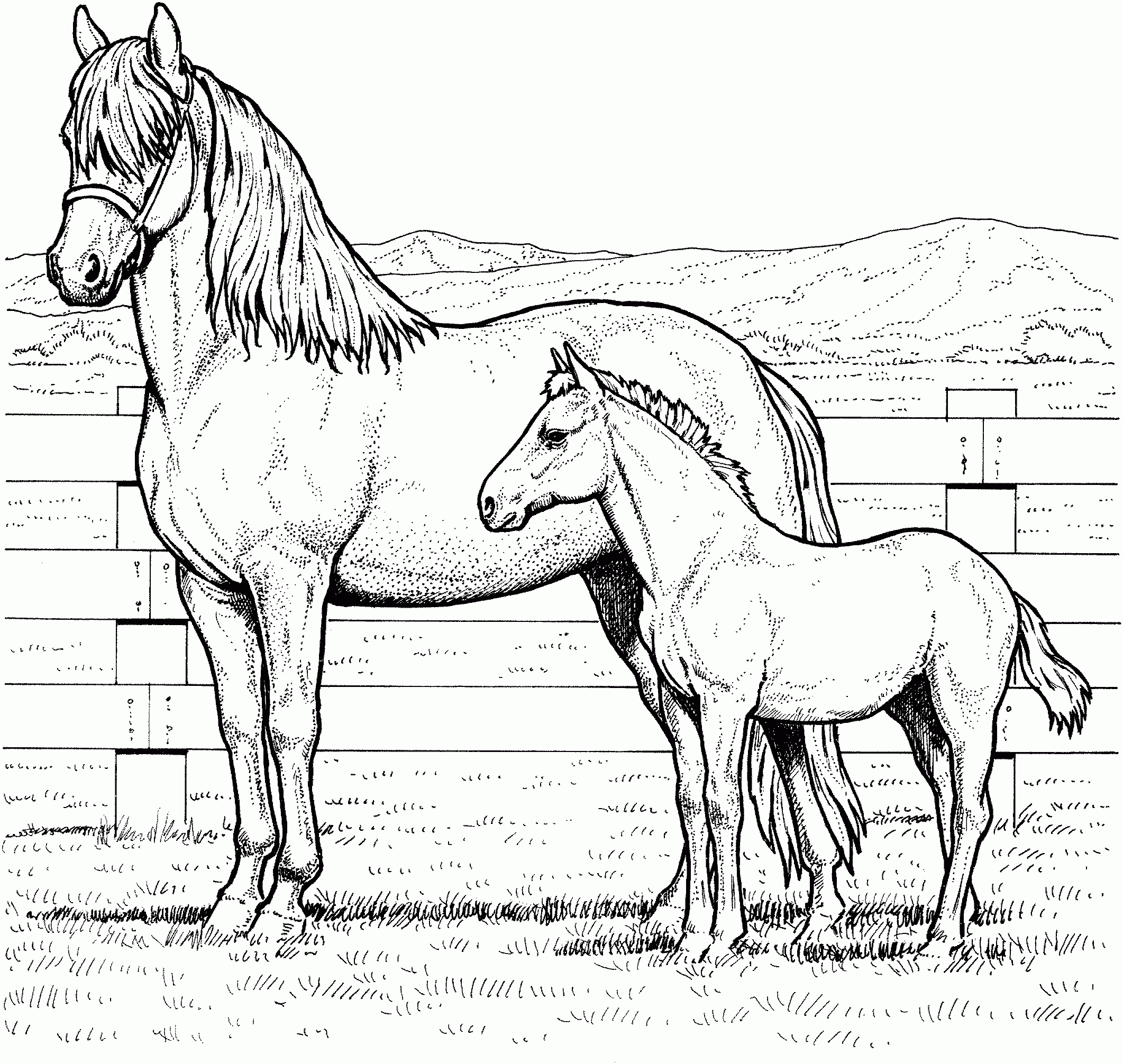 real horse coloring pages