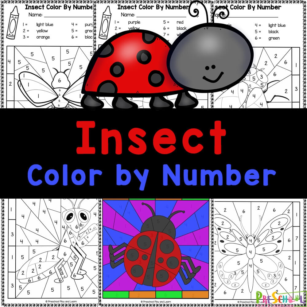  FREE Insect Color By Number Bug Worksheets