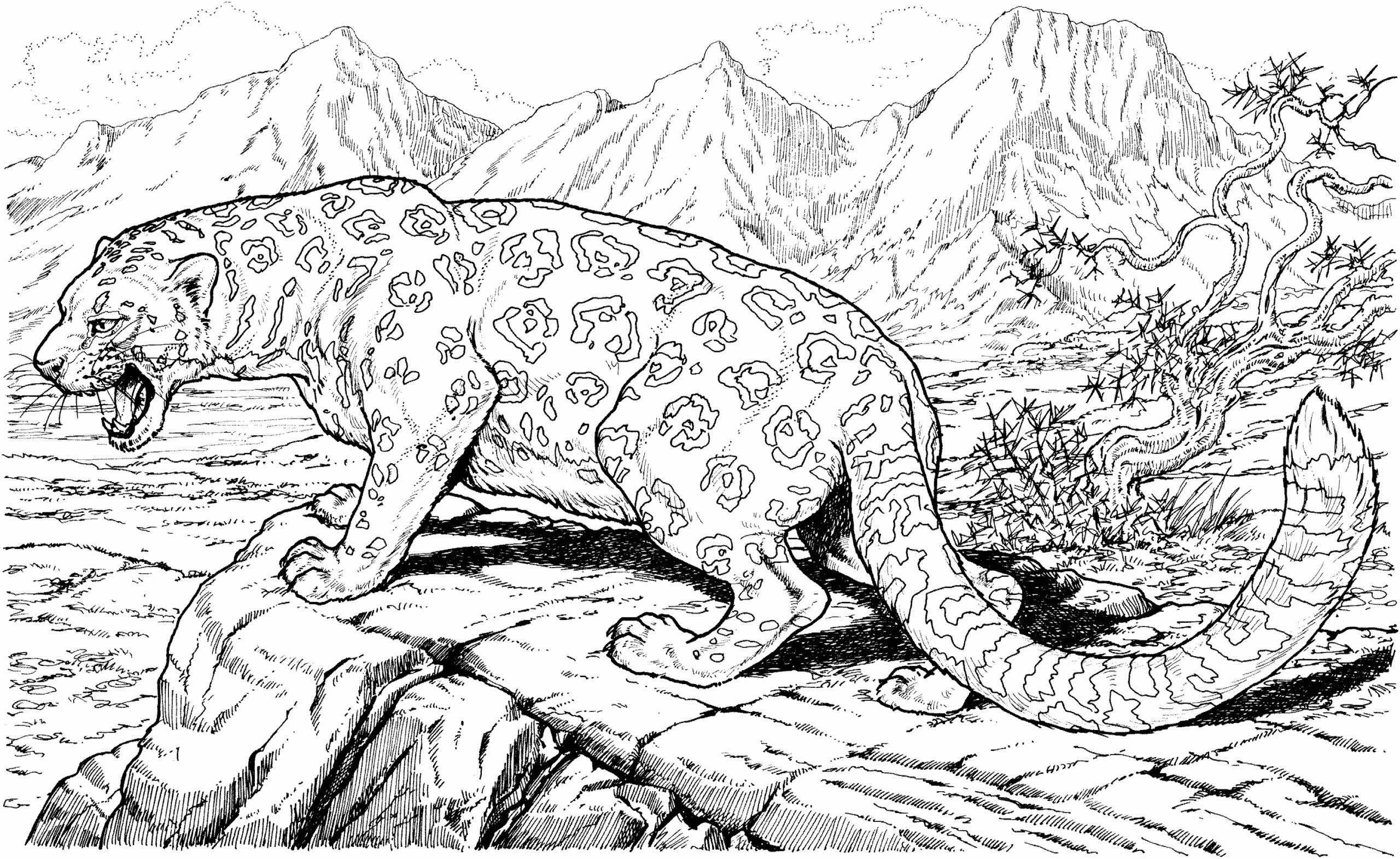 jaguar animal coloring pages jaguar animal coloring pages