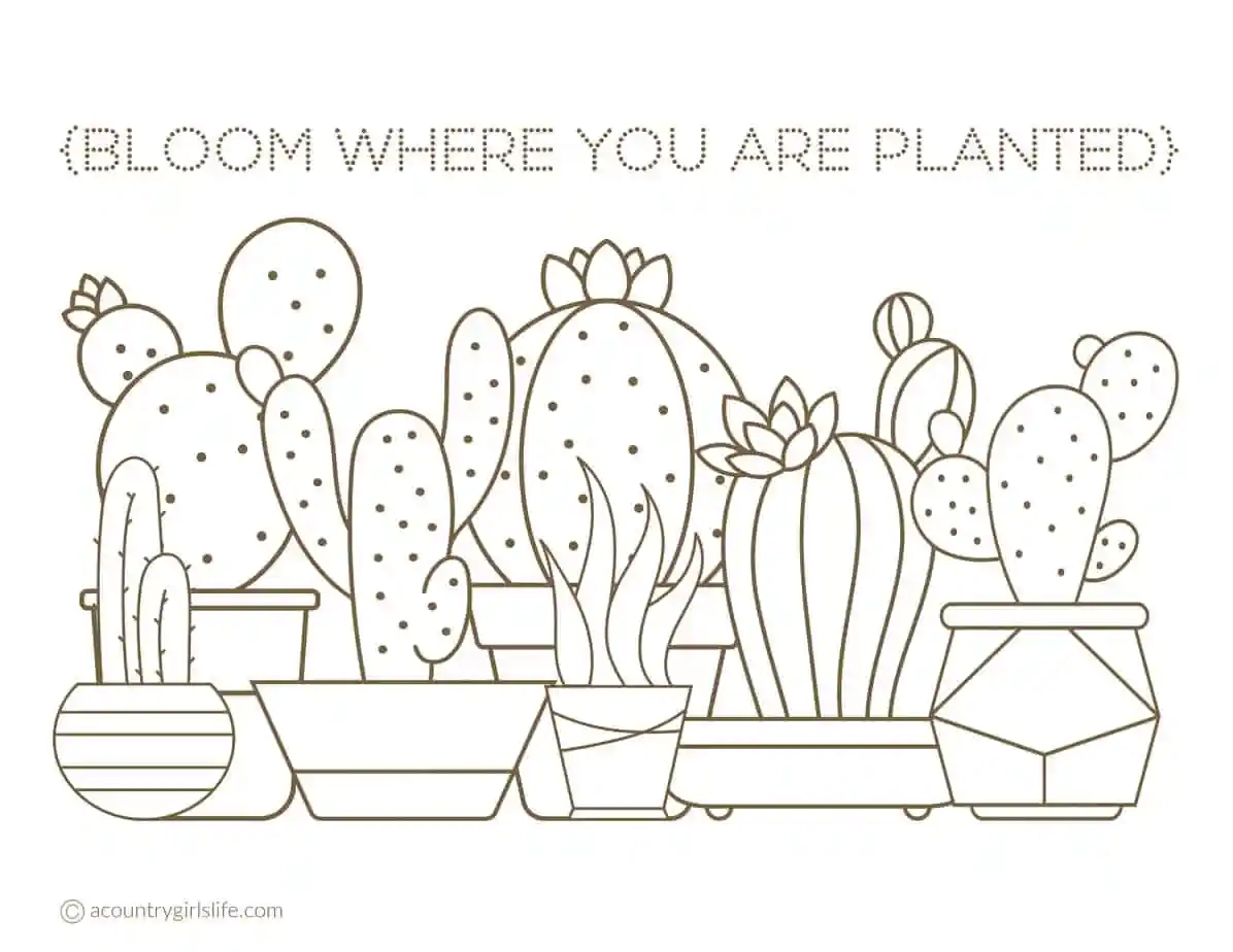 Free Printable Adult Coloring Pages Simple Floral Inspiration A Country Girl s Life