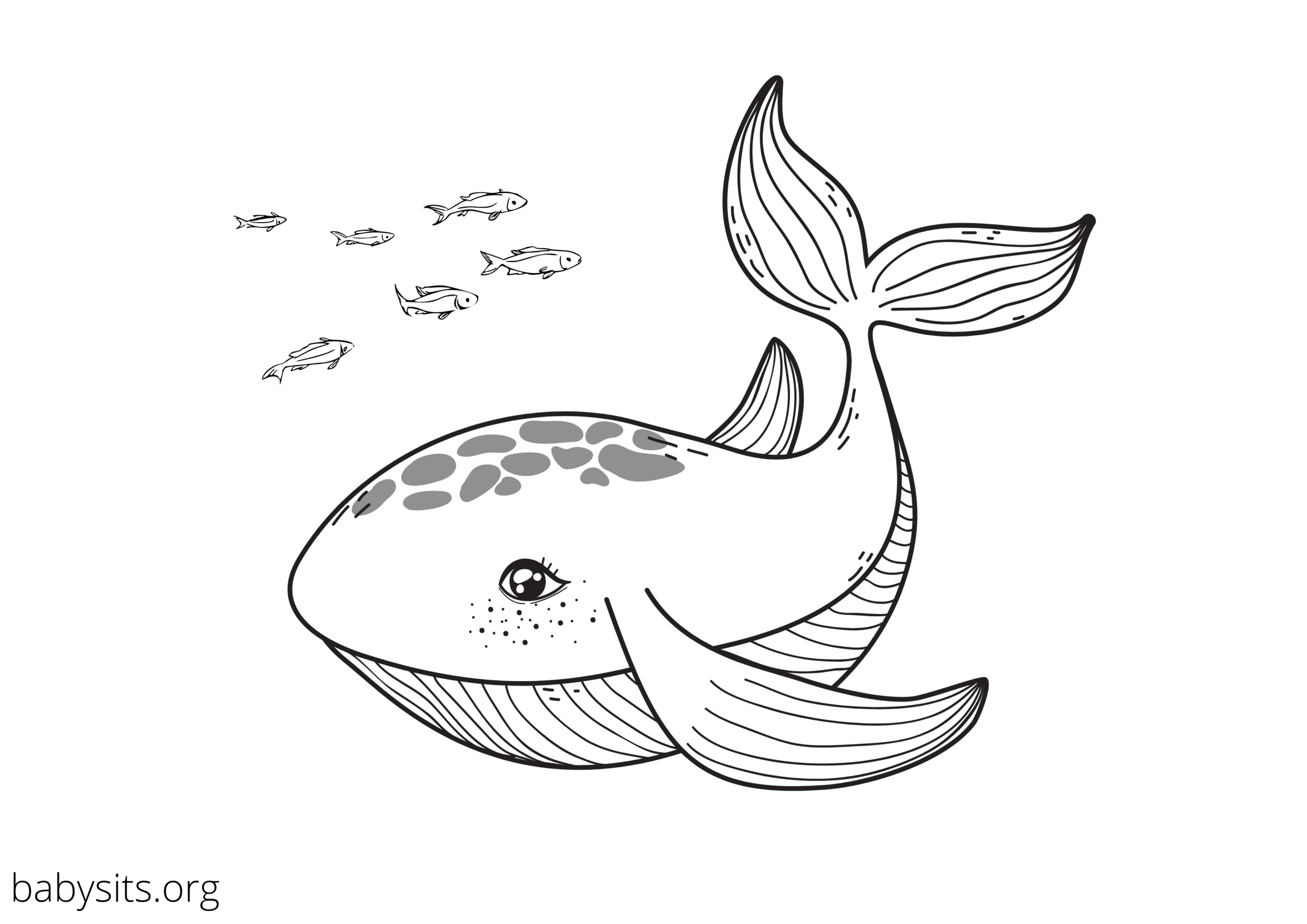 sea animal coloring page