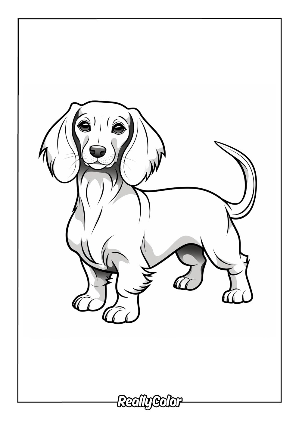 Free Printable Dachshund Coloring Pages