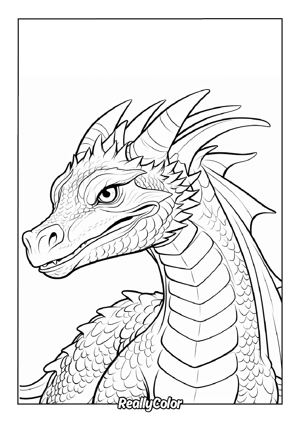 Free Printable Dragon Coloring Pages Free Printable Dragon Coloring Pages