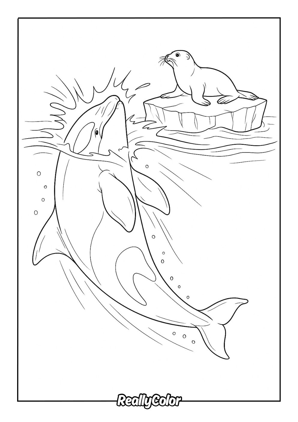 Free Printable Orca Coloring Pages Free Printable Orca Coloring Pages