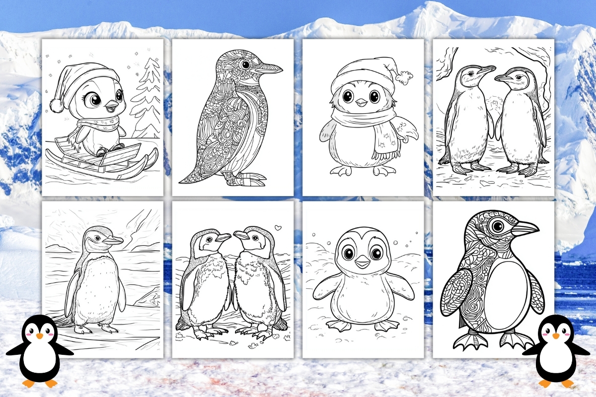 coloring pics of penguins coloring pics of penguins