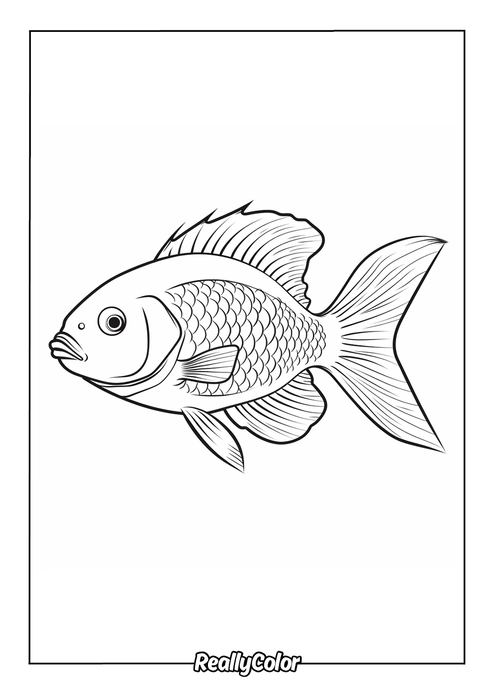 rainbow fish coloring page rainbow fish coloring page