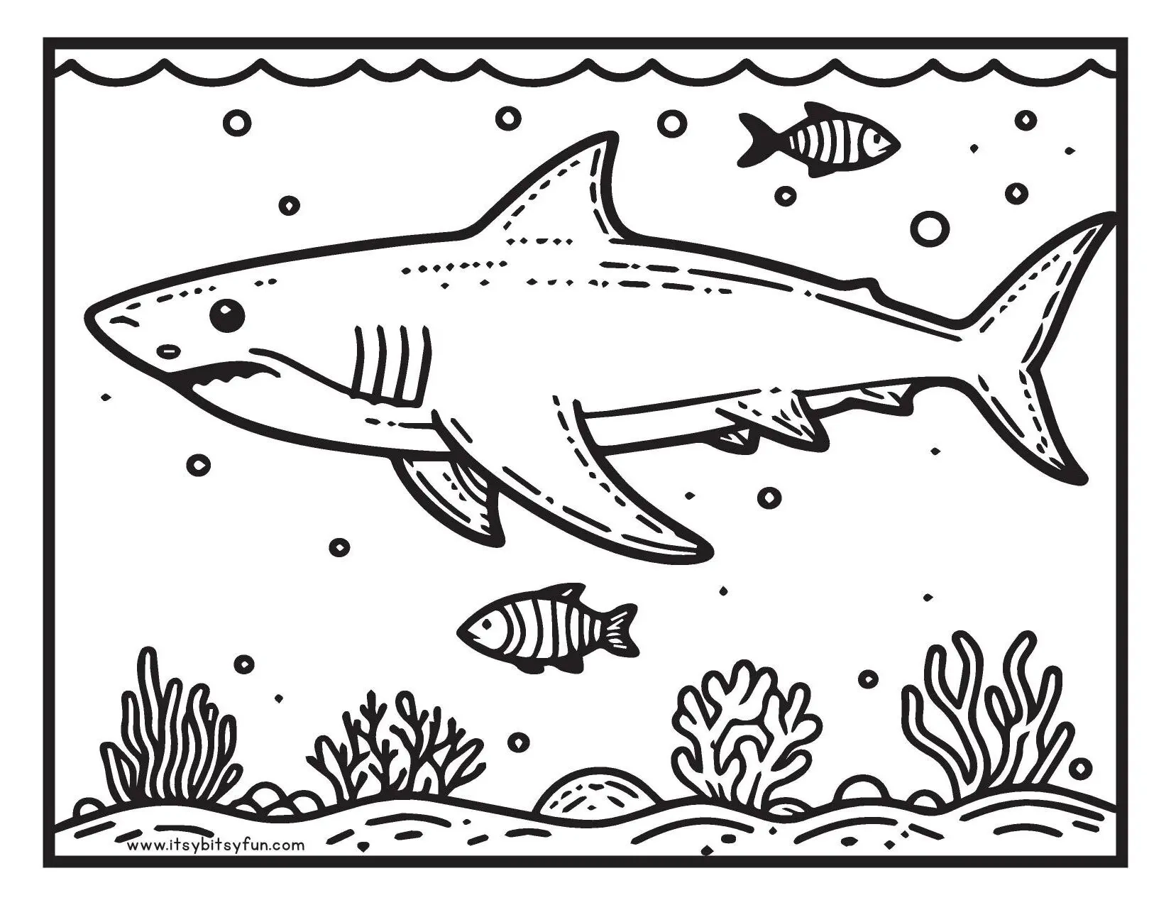 printable shark coloring pages