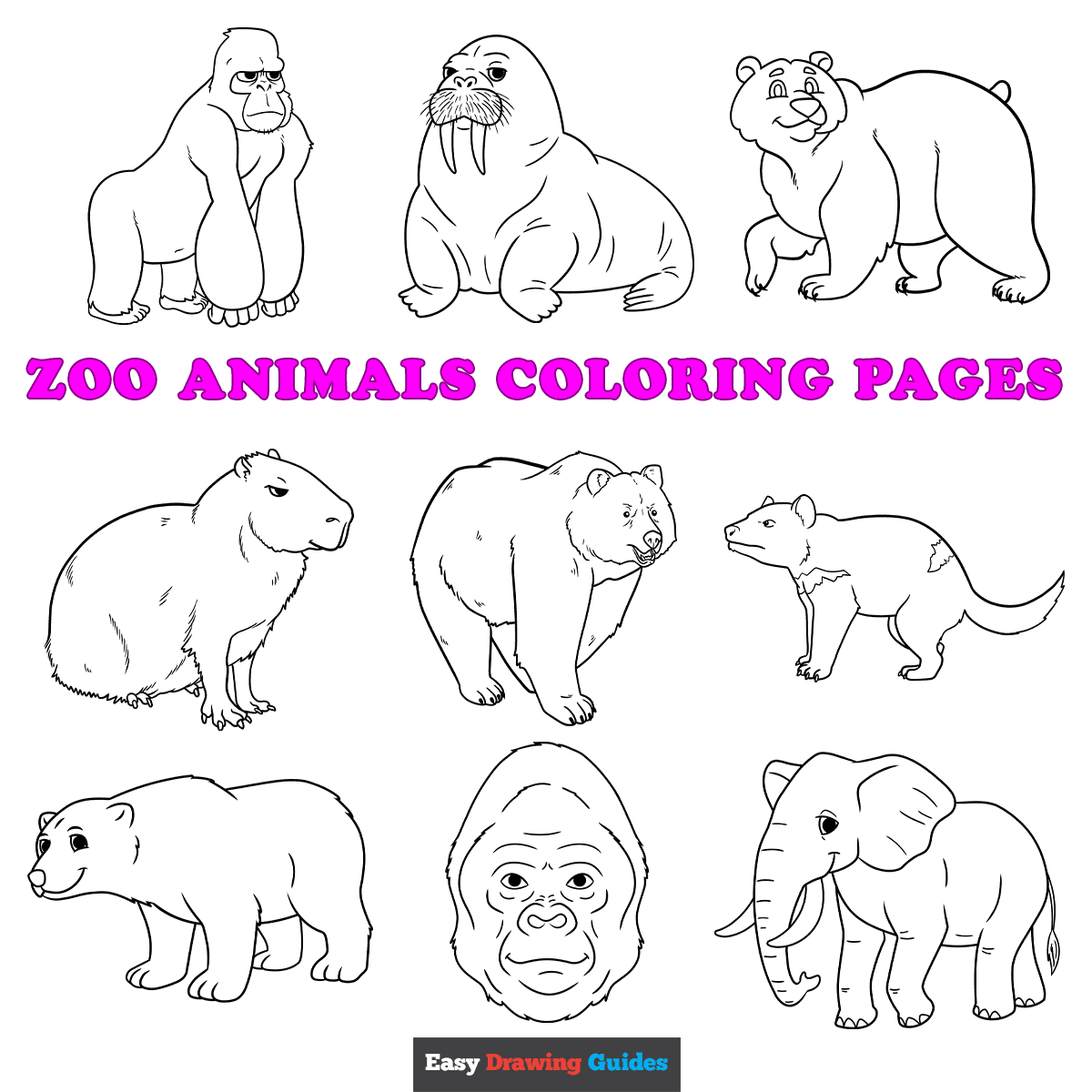 animals at the zoo coloring pages