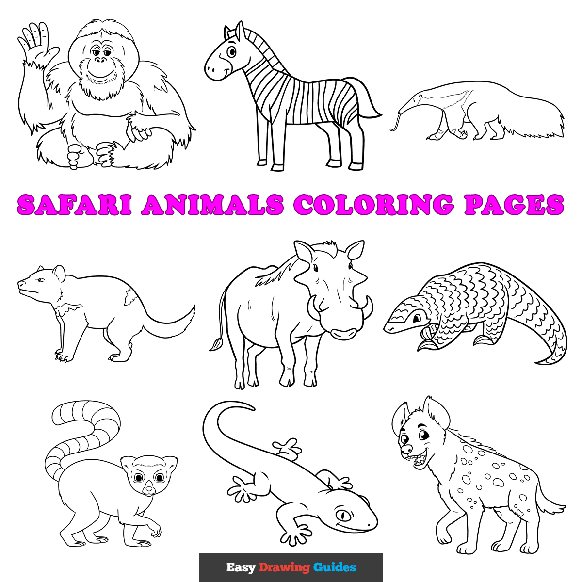 animal safari coloring pages animal safari coloring pages