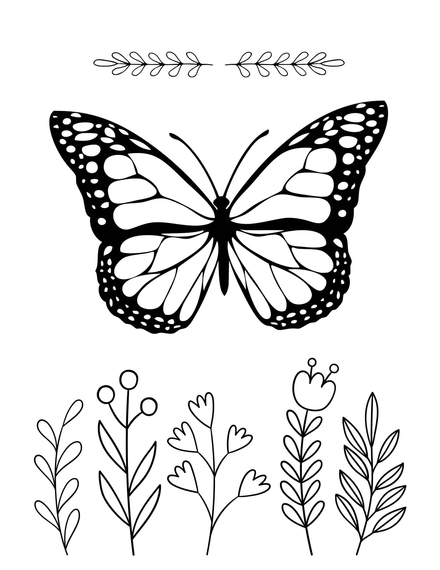 free butterfly coloring sheets