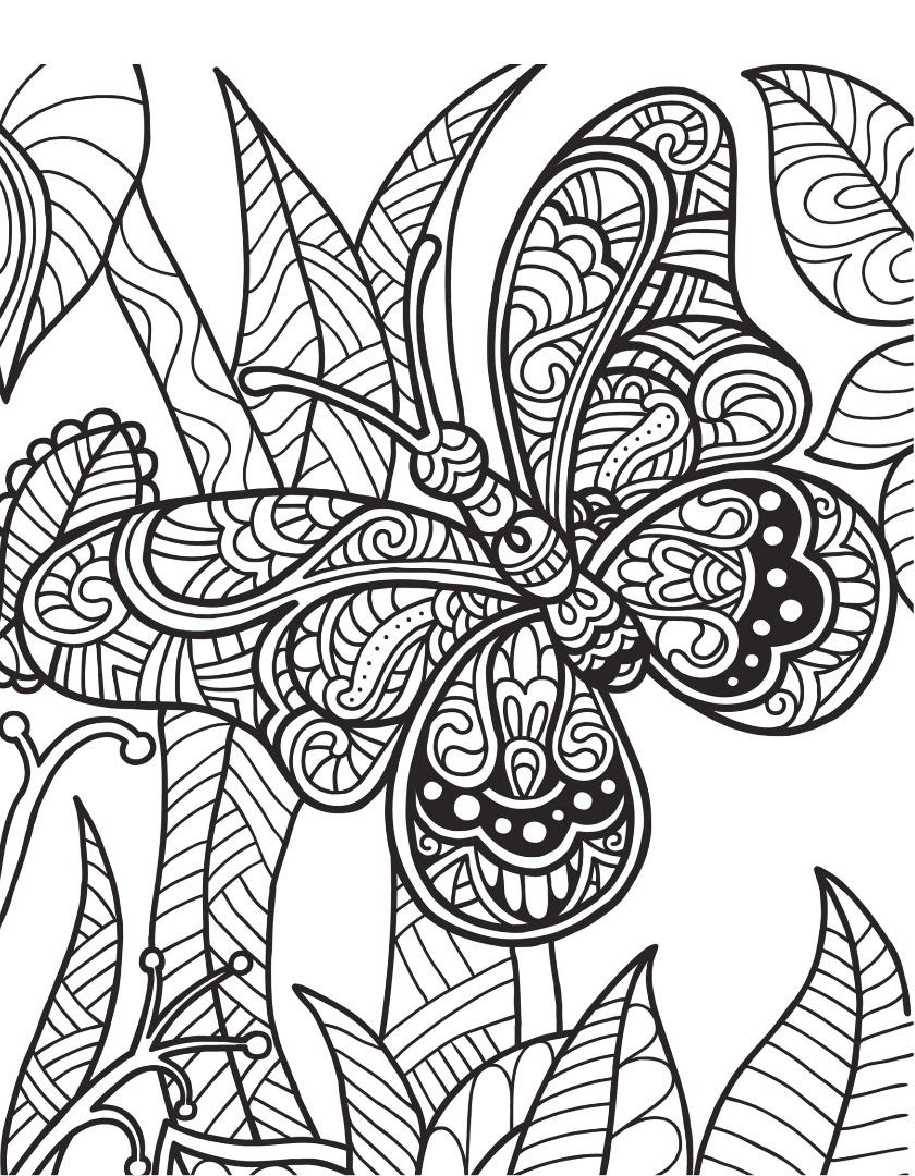 Freebie Friday Wild Animals Adult Coloring Book TY Page Freebie Friday Wild Animals Adult Coloring Book TY Page