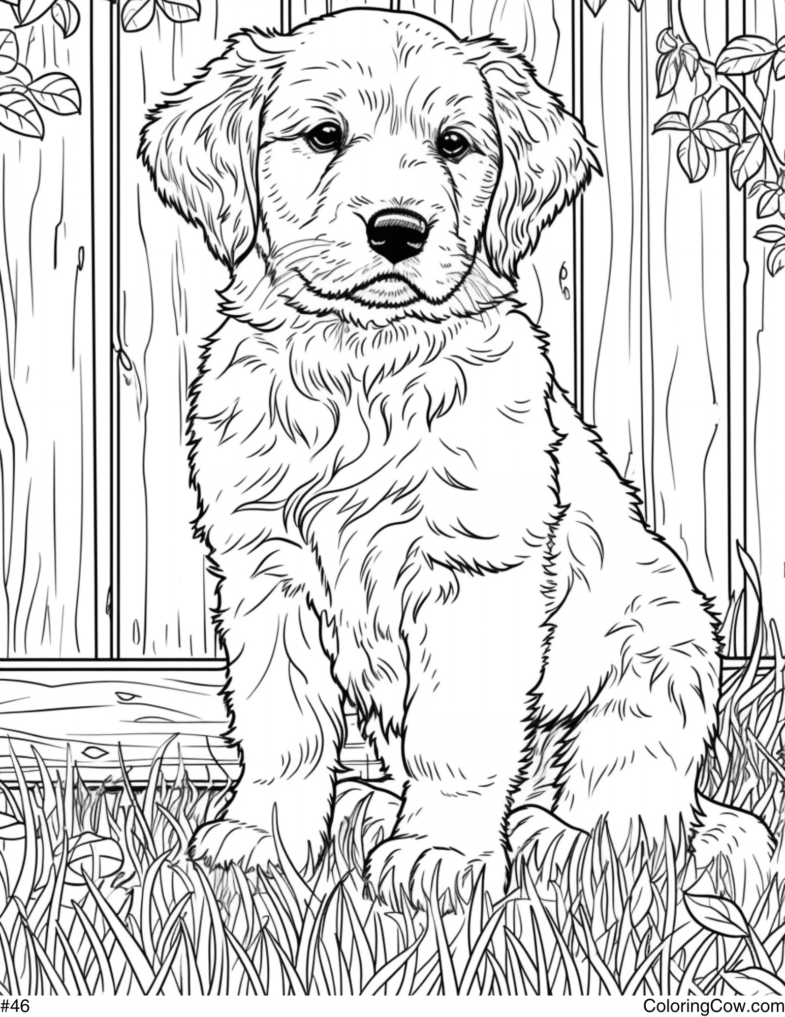 Golden Retriever Puppy Coloring Page