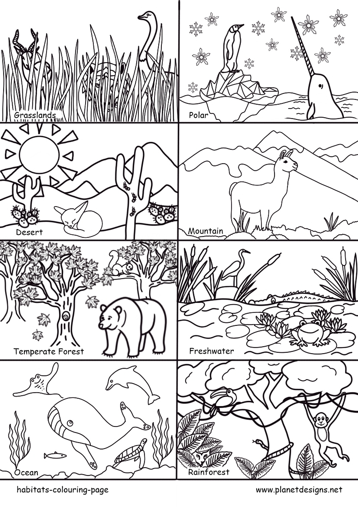 Habitats Colouring Page Planet Designs Kids Planet Designs Habitats Colouring Page Planet Designs Kids Planet Designs