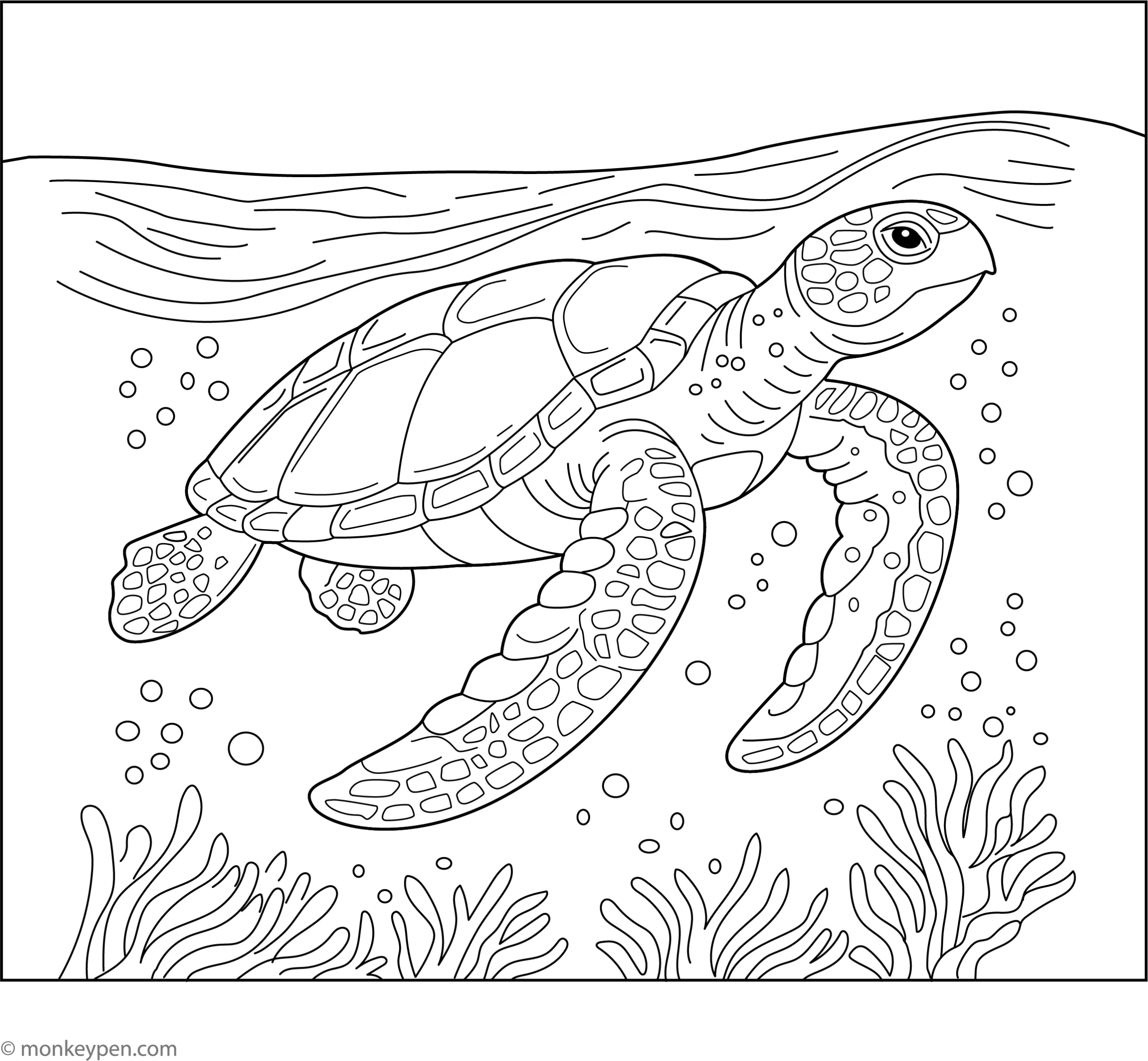 turtle coloring book pages turtle coloring book pages