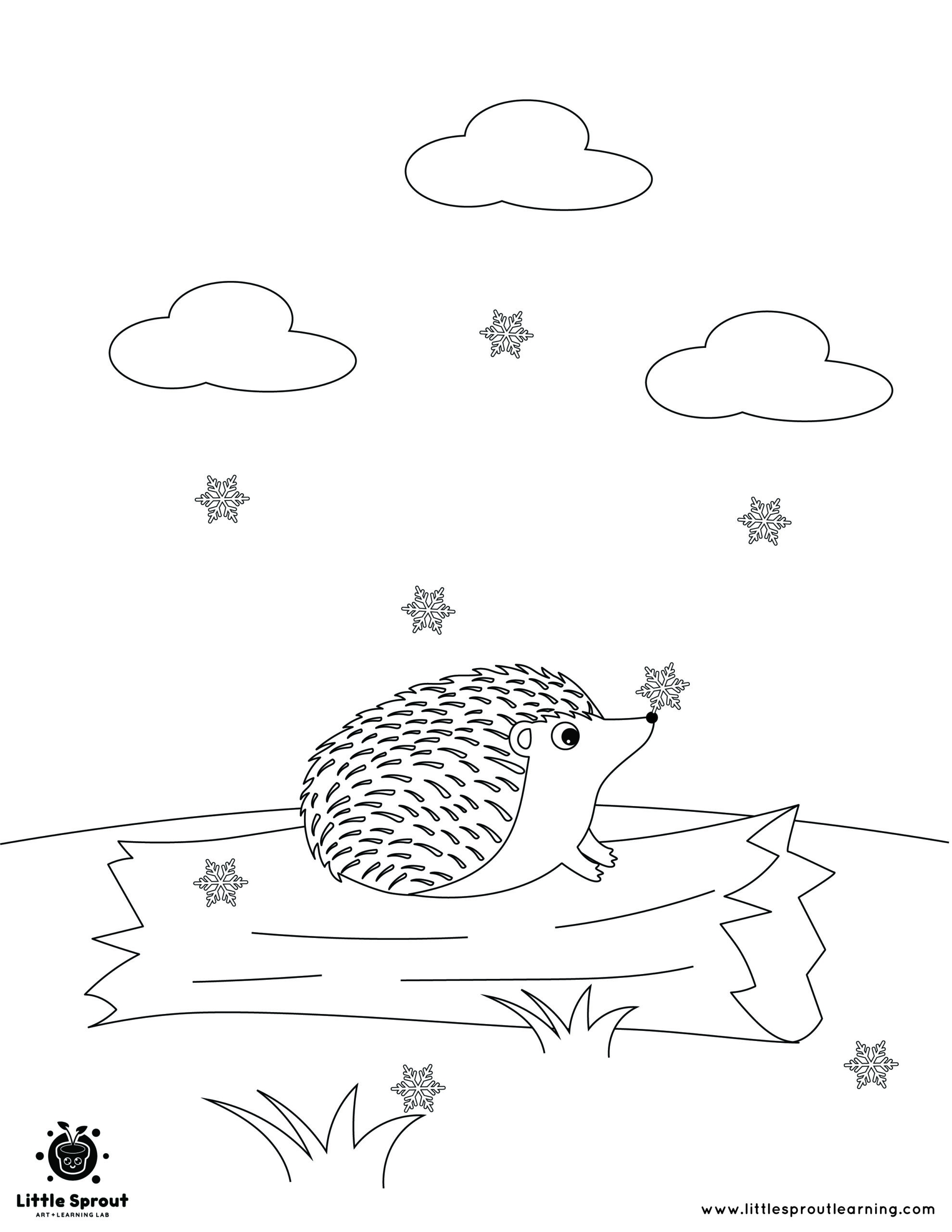 coloring pages of animals that hibernate