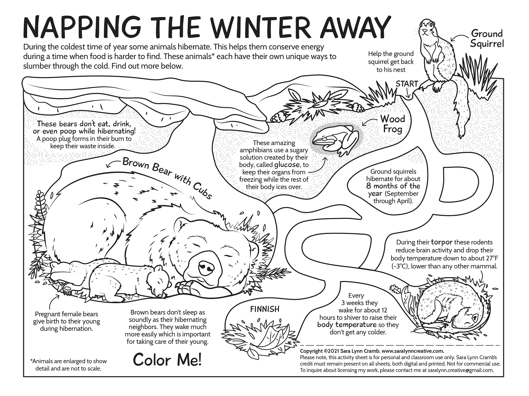 coloring pages hibernating animals coloring pages hibernating animals