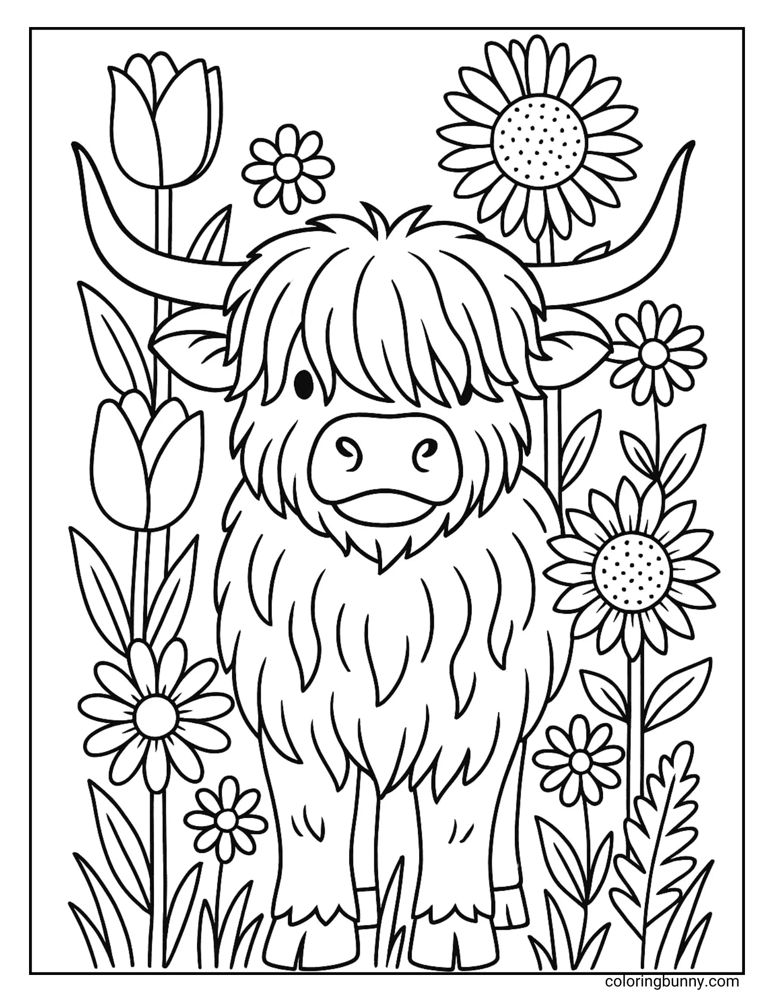 Highland Cow Coloring Pages 44 Free Printable PDFs 