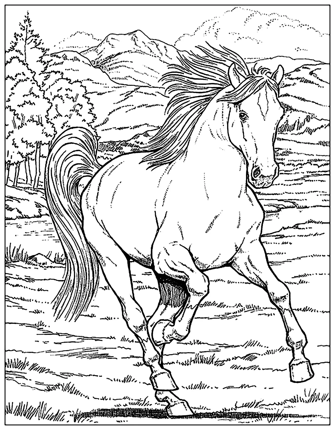 Horse Horses Coloring Pages For Adults Horse Horses Coloring Pages For Adults
