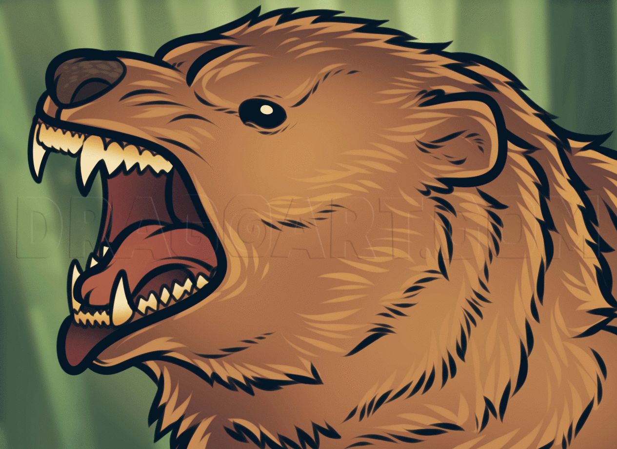 how to draw a grizzly bear