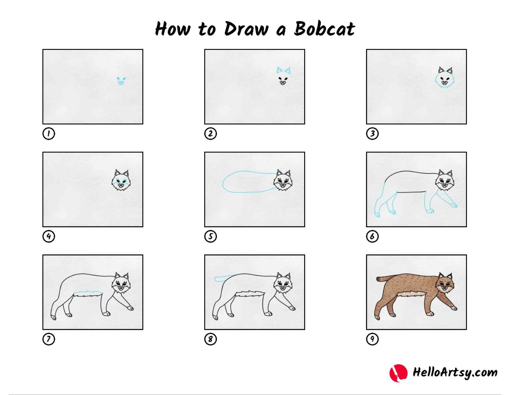 How To Draw A Bobcat HelloArtsy How To Draw A Bobcat HelloArtsy