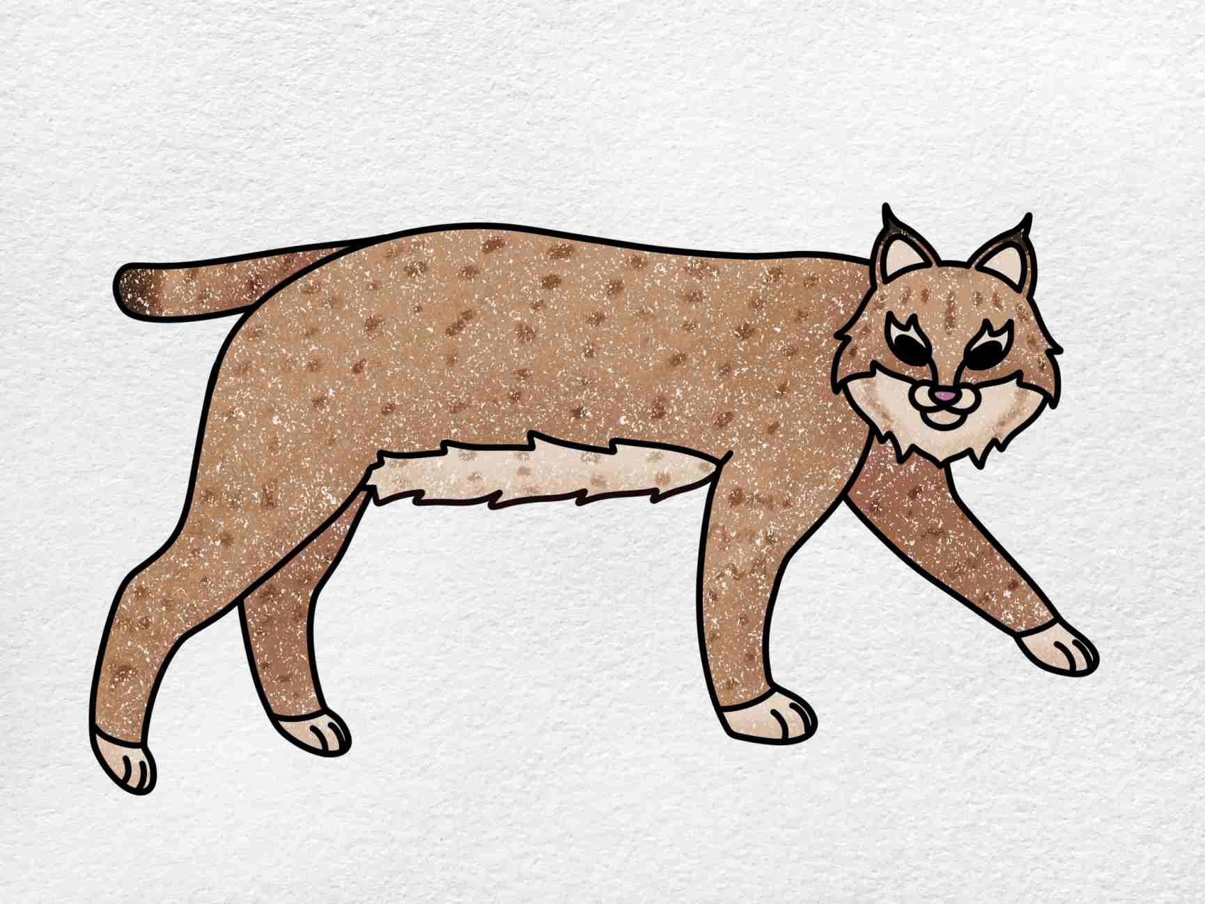 How To Draw A Bobcat HelloArtsy How To Draw A Bobcat HelloArtsy