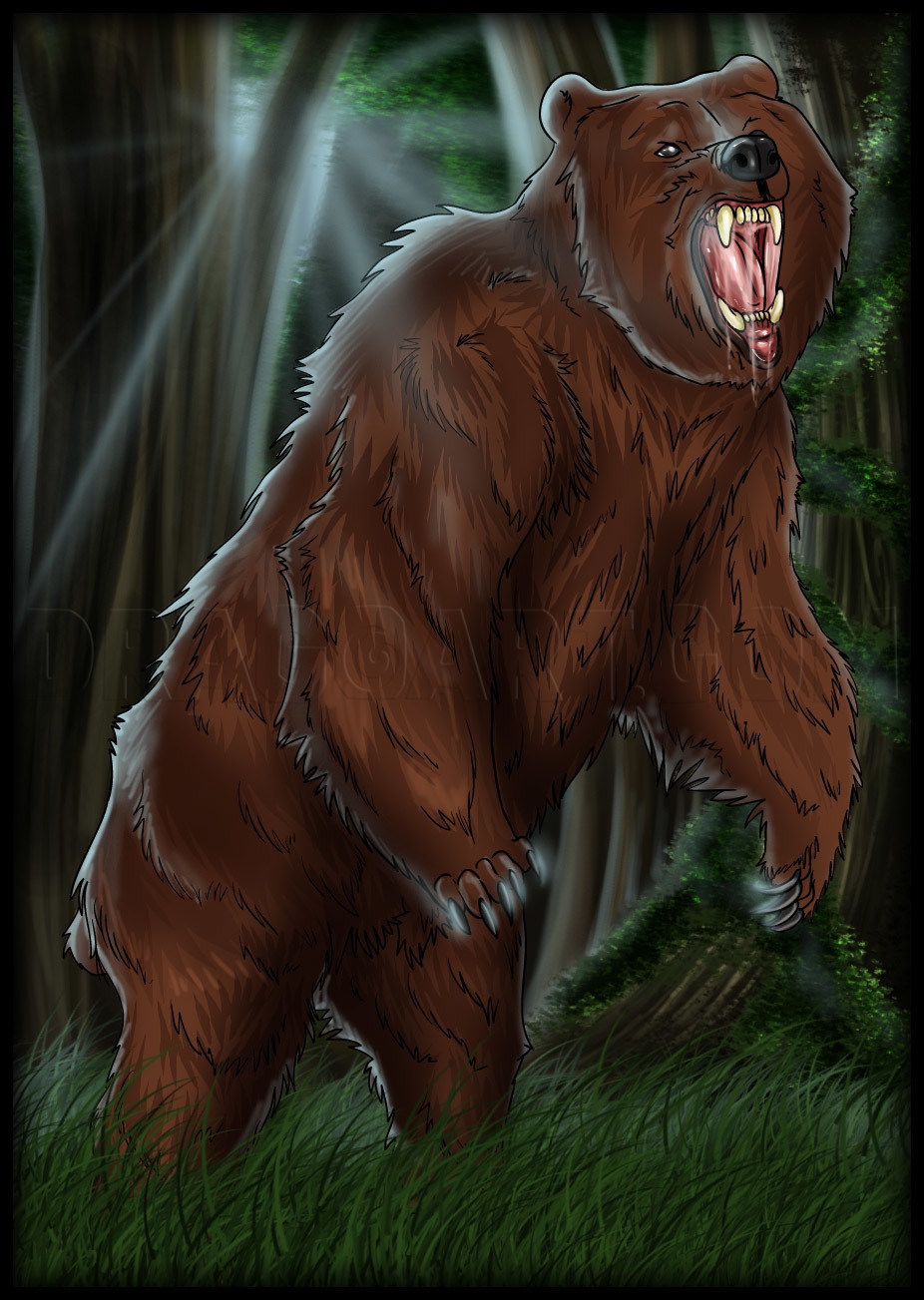 How To Draw A Grizzly Bear Drawing Step By Step By Dawn DragoArt
