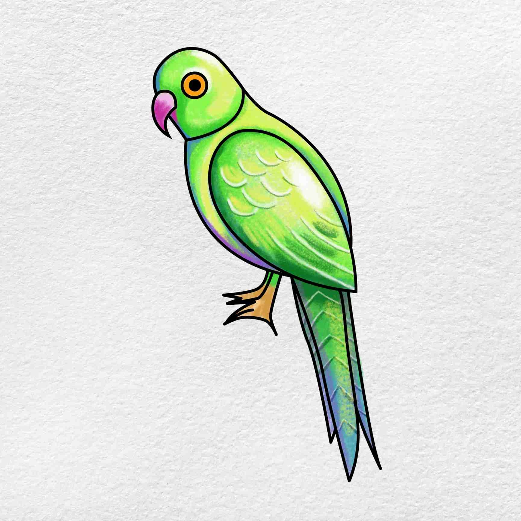 How To Draw A Parrot HelloArtsy