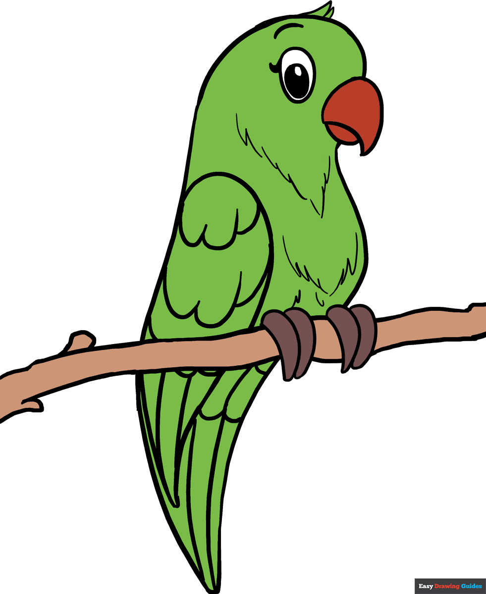 How To Draw A Parrot Really Easy Drawing Tutorial