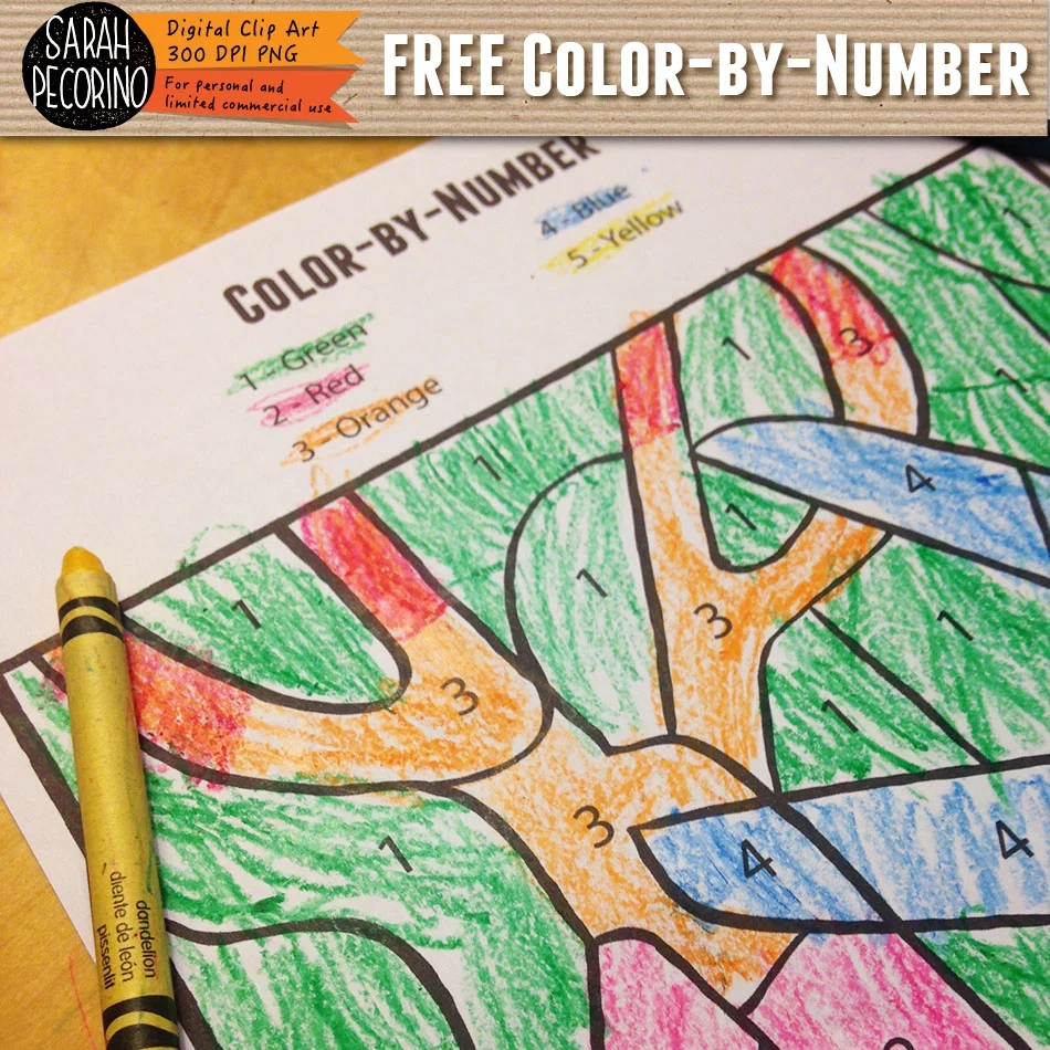 How To Use Make Your Own Color by Number Clip Art Blanks Sarah Pecorino Illustration