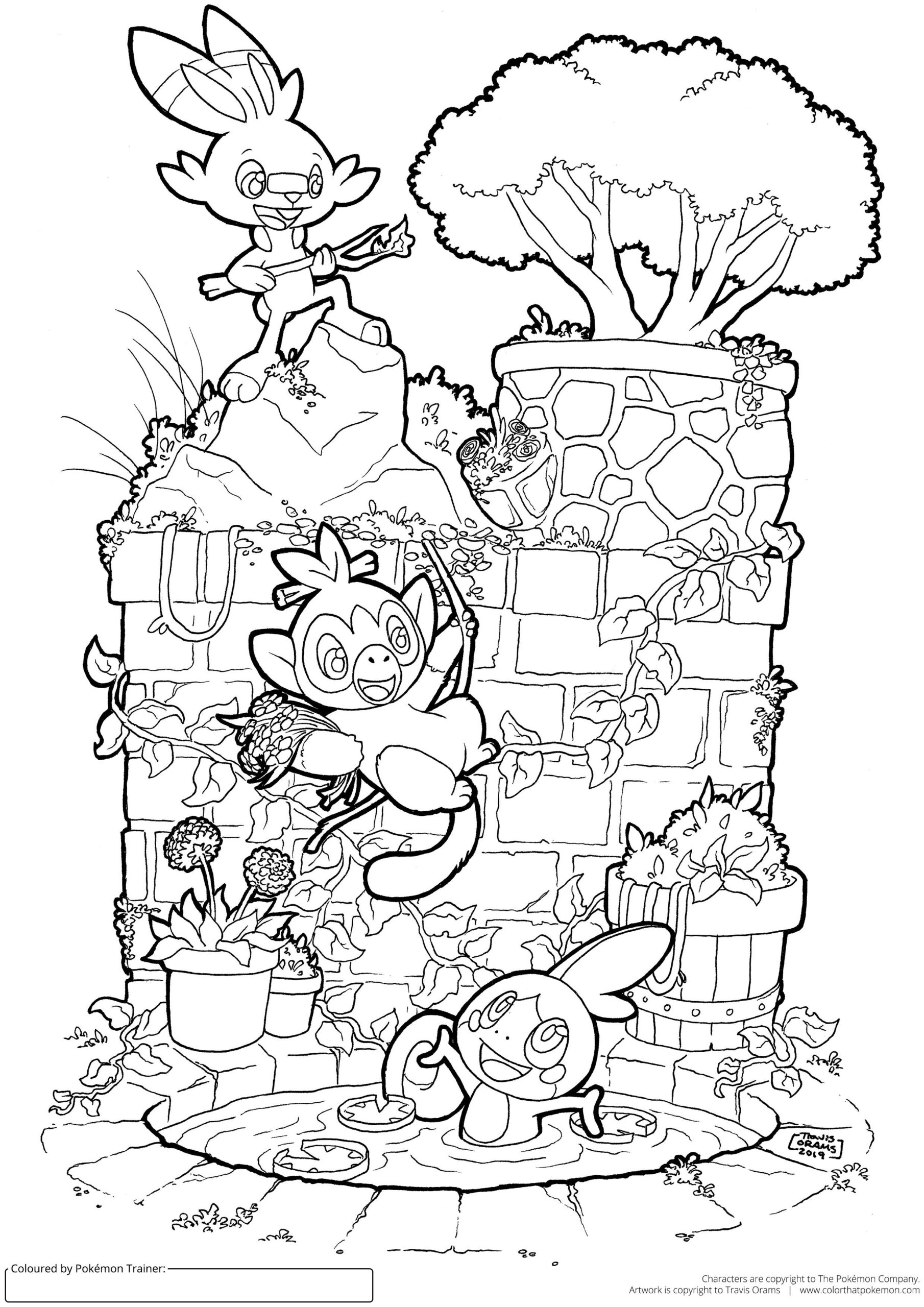 I Made A Galar Starter Pok mon Colouring Page R pokemon